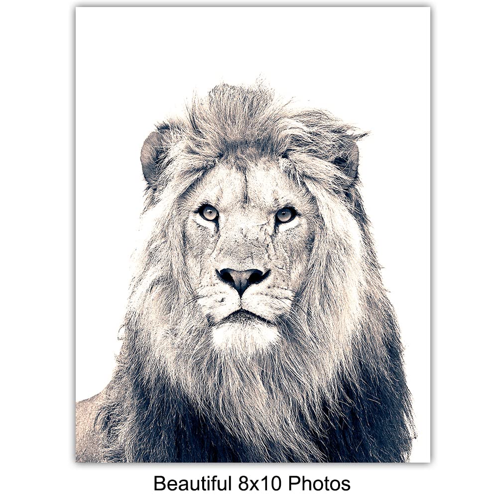 Black and White Photography African Animals Art Print Set, Wall Art Posters - Unique Contemporary Decor for Home or Office - Great Inexpensive Housewarming Gift for Nature Lovers, 8x10 Photos Unframed