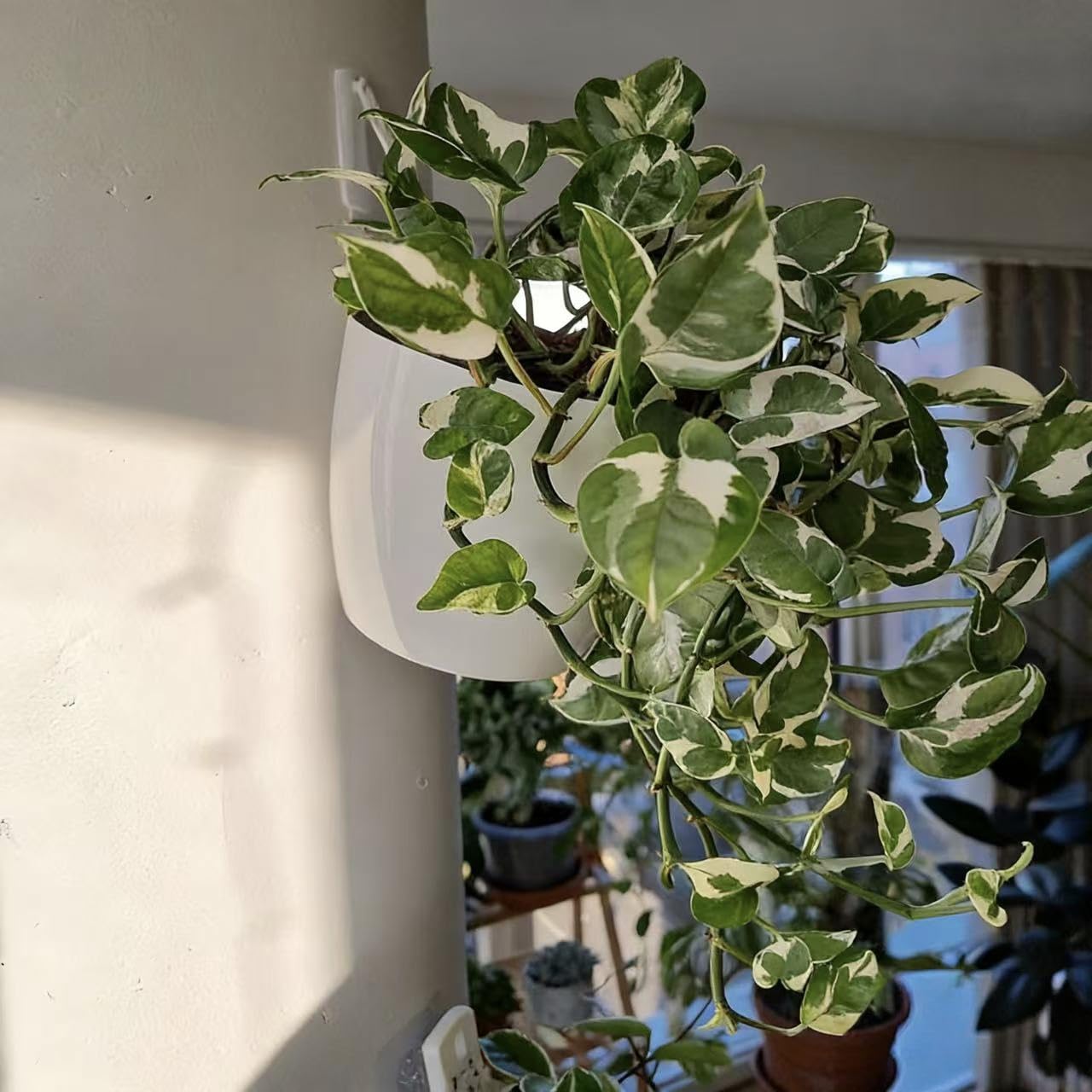 3 Pack Self Watering Wall Hanging Planter Pots Vertical Garden Window Hang Mount Indoor Outdoor Plant Flower Basket for Kitchen Herbs Balcony Railing Shelf Fence Bedroom Trellis Decor Modern White Box