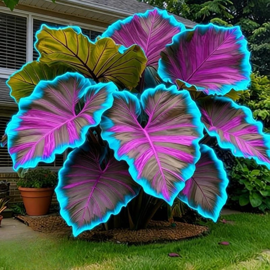 EDRHTJG Elephant Ear Alocasia-Tropical Foliage Large Leaf Decor for Outdoor- Balcony Design-Garden Patio Natural Green Tones (6)