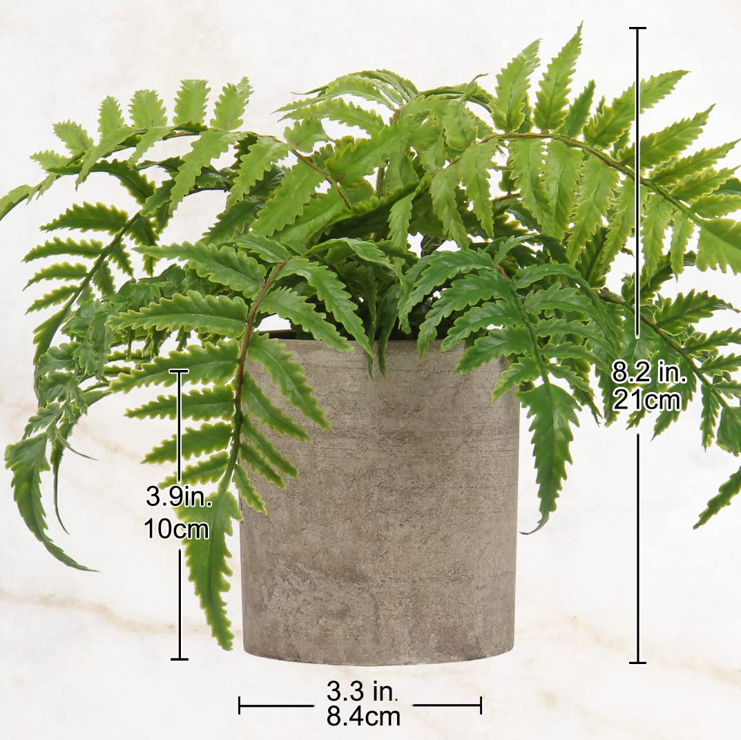 Hollyone Small Fake Plant Potted Plants Artificial Decor Silk Boston Ferns Plant Faux Plants in Pots for Home Living Room Bedroom Desk Bathroom Window Shelf Farmhouse Decoration