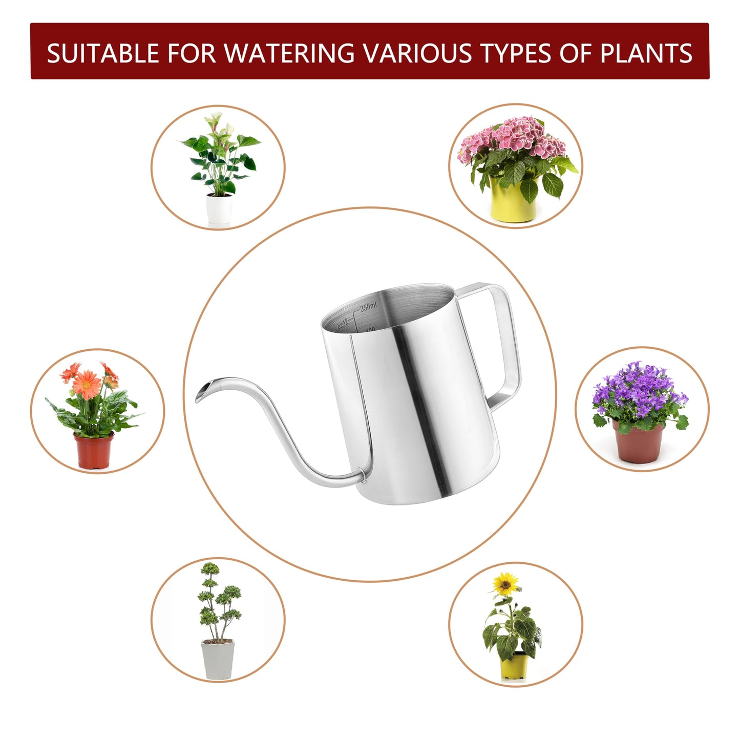 Small Watering Can, OLULU 12oz (350ml) Stainless Steel Indoor Watering Can with Long Spout, Mini Watering Can for Houseplants, Desk & Home Plants