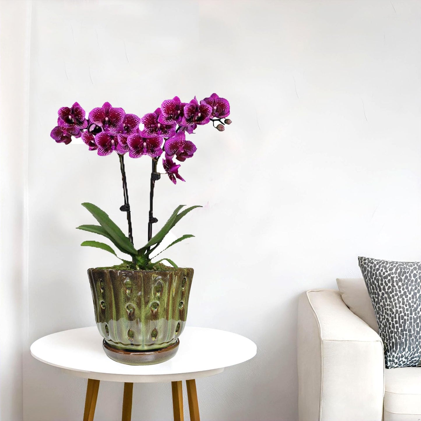 Grdthzey Ceramic Orchid Pots with Attached Saucer and Drainage Hole 6'' Orchid Planter (mossgreen)