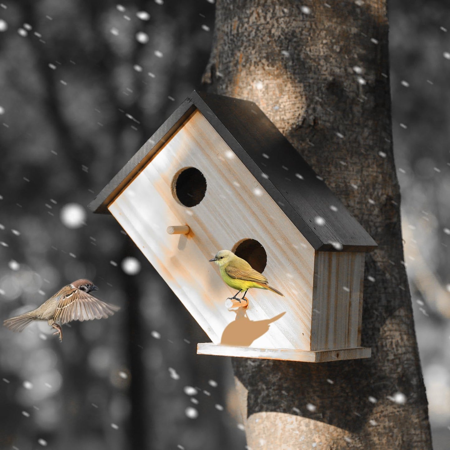 Bird House for Outside, Wooden Birdhouse for Outdoors Hanging - 2 Hole Wren House for Bluebirds Cardinals, Small Garden Bird House with Metal Hook