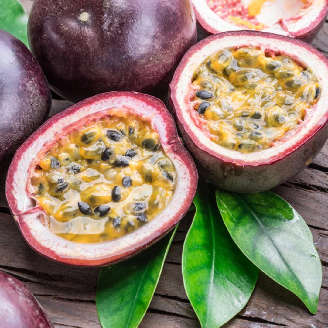 2 Passion Fruit Plant, Passion Fruit Tree, Purple Passion Fruit - Purple