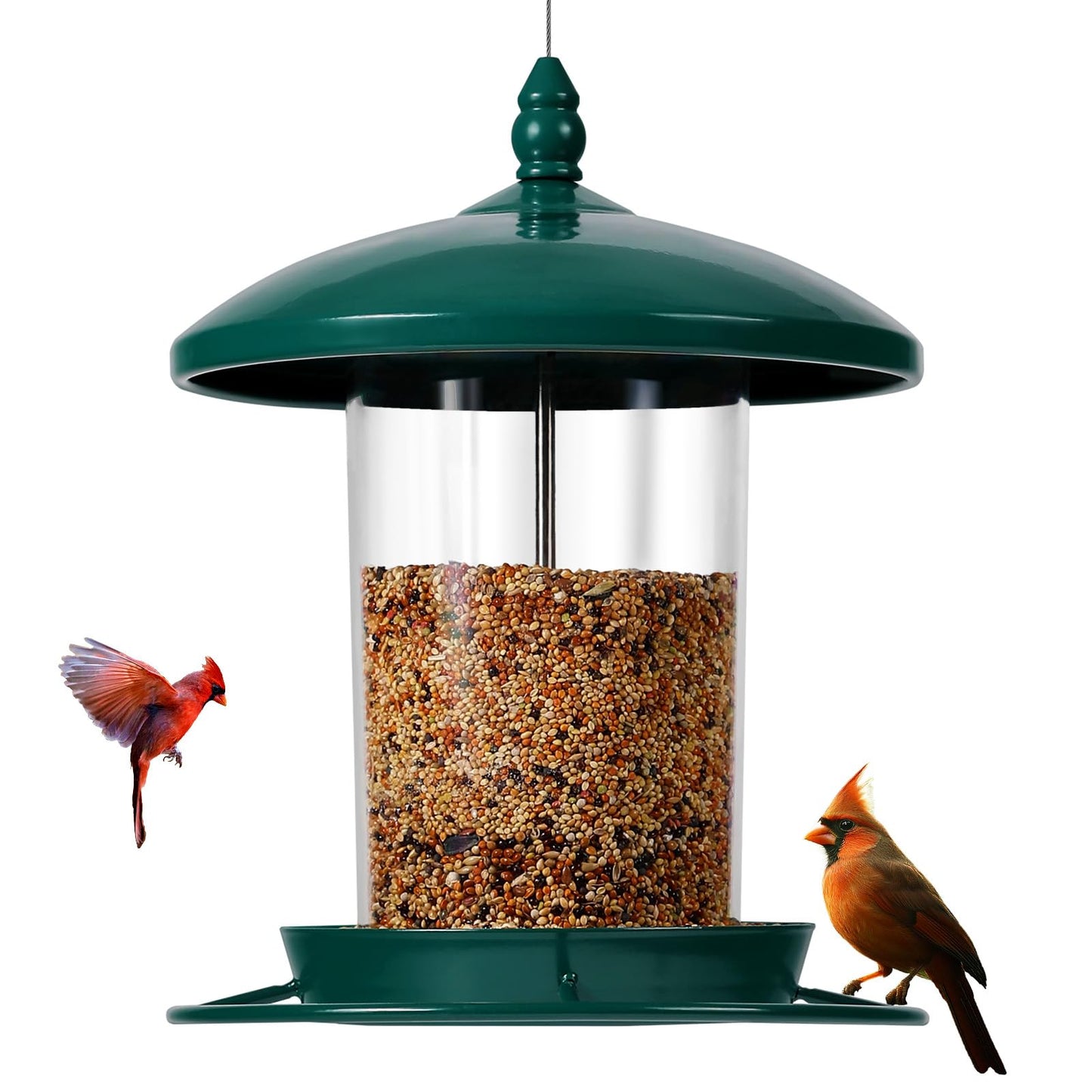 Metal Bird Feeder for Outdoors Hanging,3.0LB Seed Feeder,Easy to Fill & Clean,360° Feeding,Chew Proof Weatherproof Roof for Gardens and Wild Birds,Green