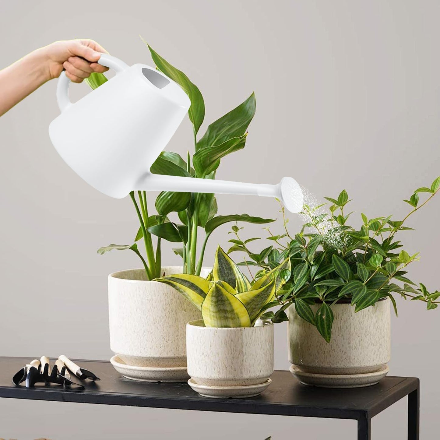 TEIUKAX Indoor and Outdoor Watering Can - Long Spout -1/2 Gallon (64oz) - White