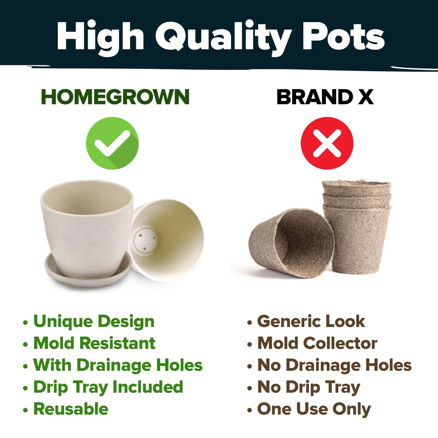 HOME GROWN Succulent & Cactus Seed Kit for Planting – [Enthusiasts Favorites] Premium Cactus & Succulent Starter Kit: 4 Planters, Drip Trays, Markers, Seeds Mix, Soil - DIY Gift Kits