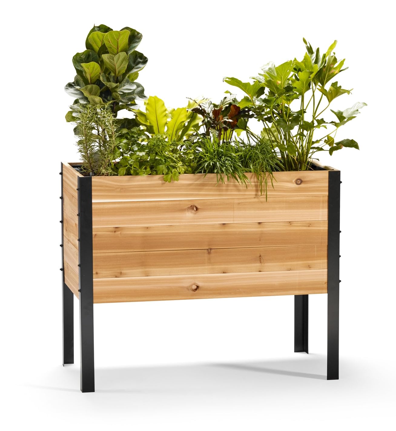 EARTH ELEVATED 100% Canadian Cedar Wood Elevated Garden Bed for Gardening - Planter Pot to Grow Herbs Flowers, and Vegetables at Home Indoor and Outdoor Patio Balcony Deck - 18” x 36” x 30”