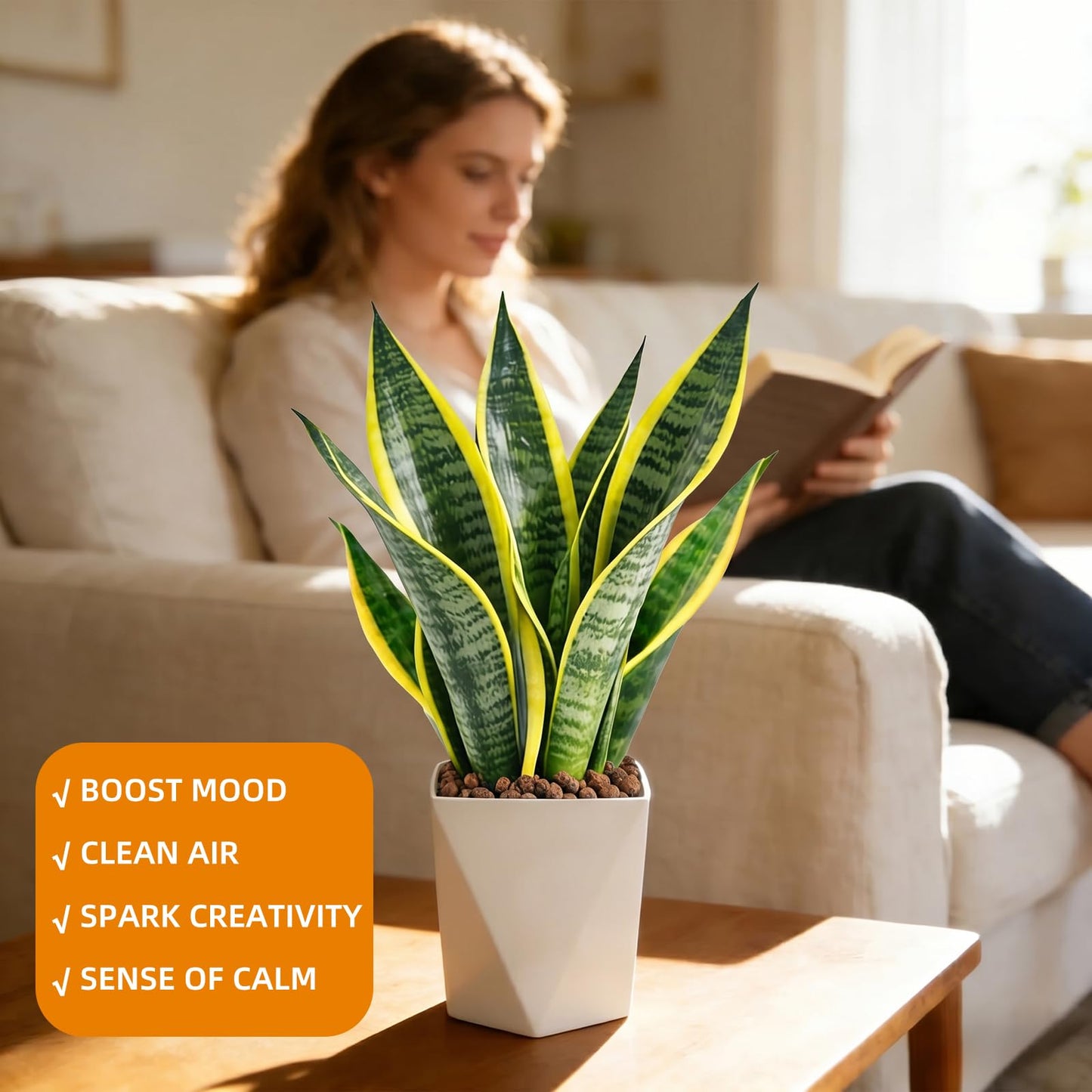 Live Snake Plant Indoor Houseplant,8-10 Inch Mother-in-Law's Tongue Live Plant in Decorative Pot, Easy to Maintain Indoor Succulent Houseplant,Air Purifying Easy Care Succulent