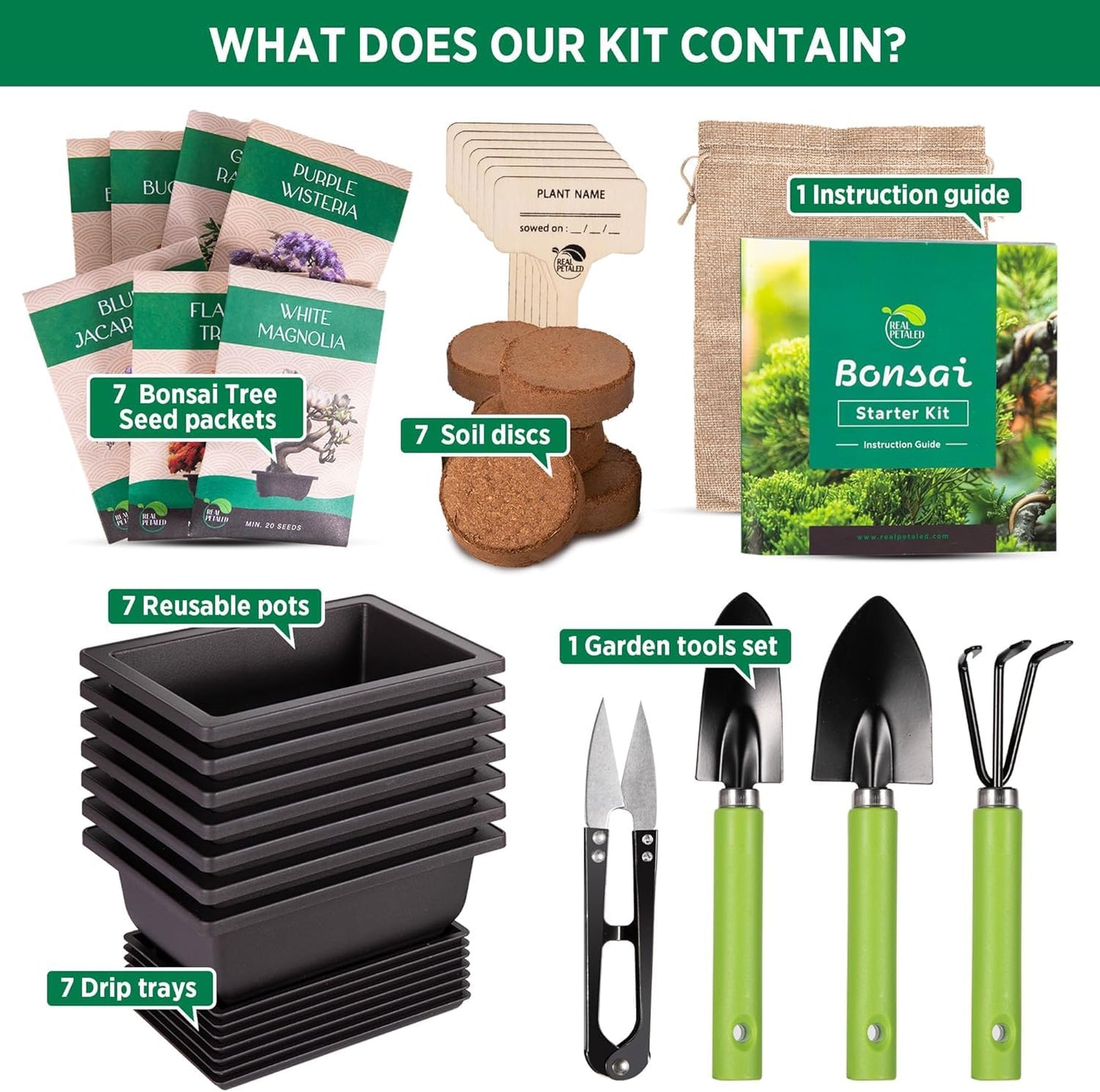 REALPETALED Bonsai Starter Kit – Japanese Bonsai Tree Kit 7 Seeds Pots – Complete Grow Your Own – Plant Lover Gifts Home Gifts for Men and Women