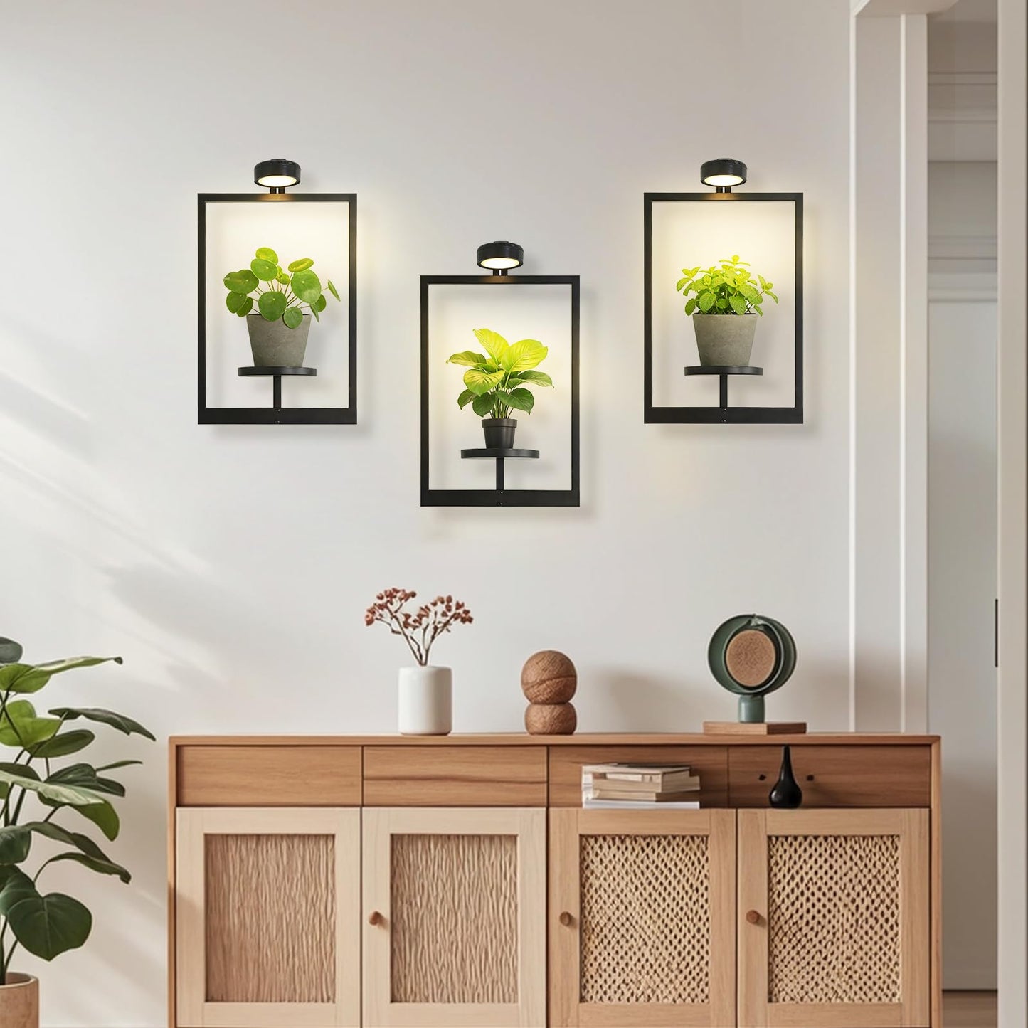 Wall Planters for Indoor Plants，Wall Plant Holder with ‌Remote-Controlled Lights，Hanging Planters for Indoor Plants Window Plant Shelves 3 Pack Plant Hanger for Living Room Entryway（Bulbs Included）