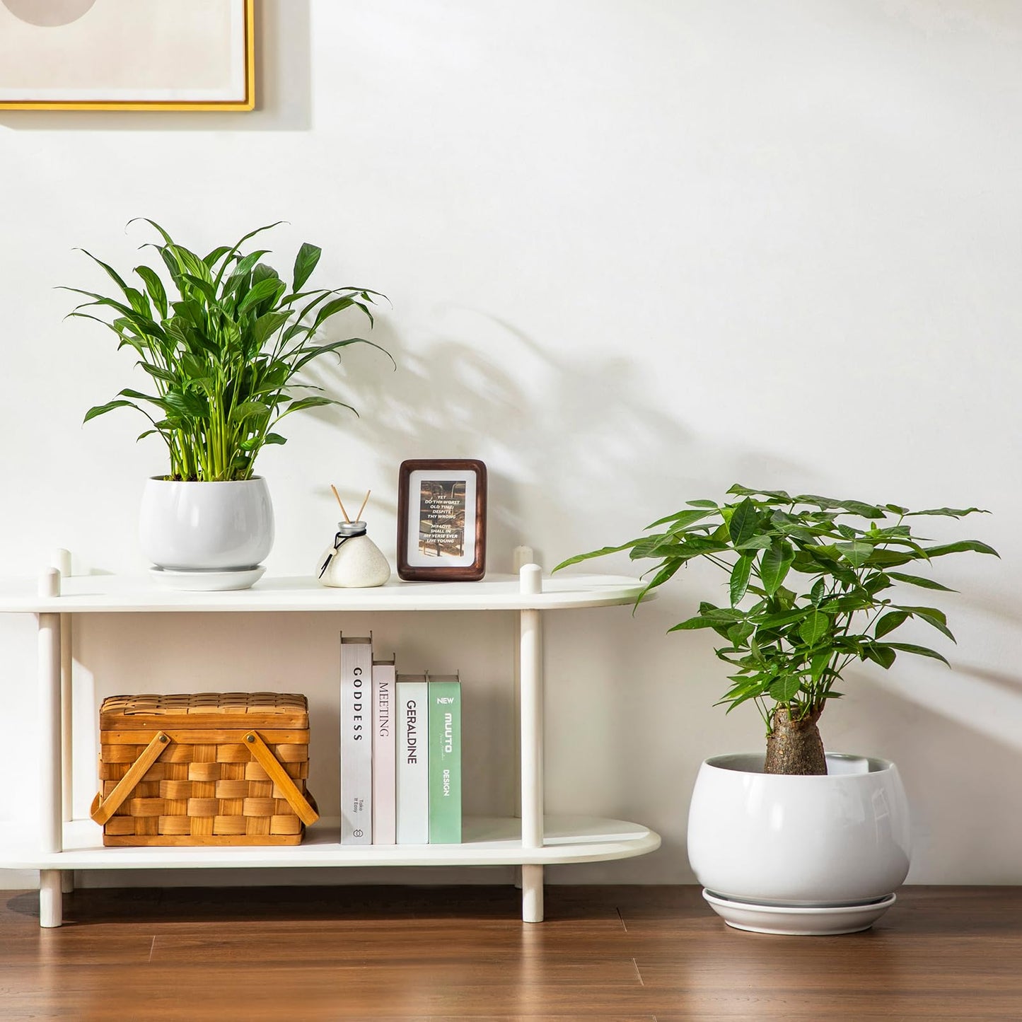 vancasso 3-Pack Ceramic Plant Pots, 7.3/9.6/11.6 Inch Indoor Planters with Saucers & Drainage Hole Planter pots for Indoor Plants and Flower, White