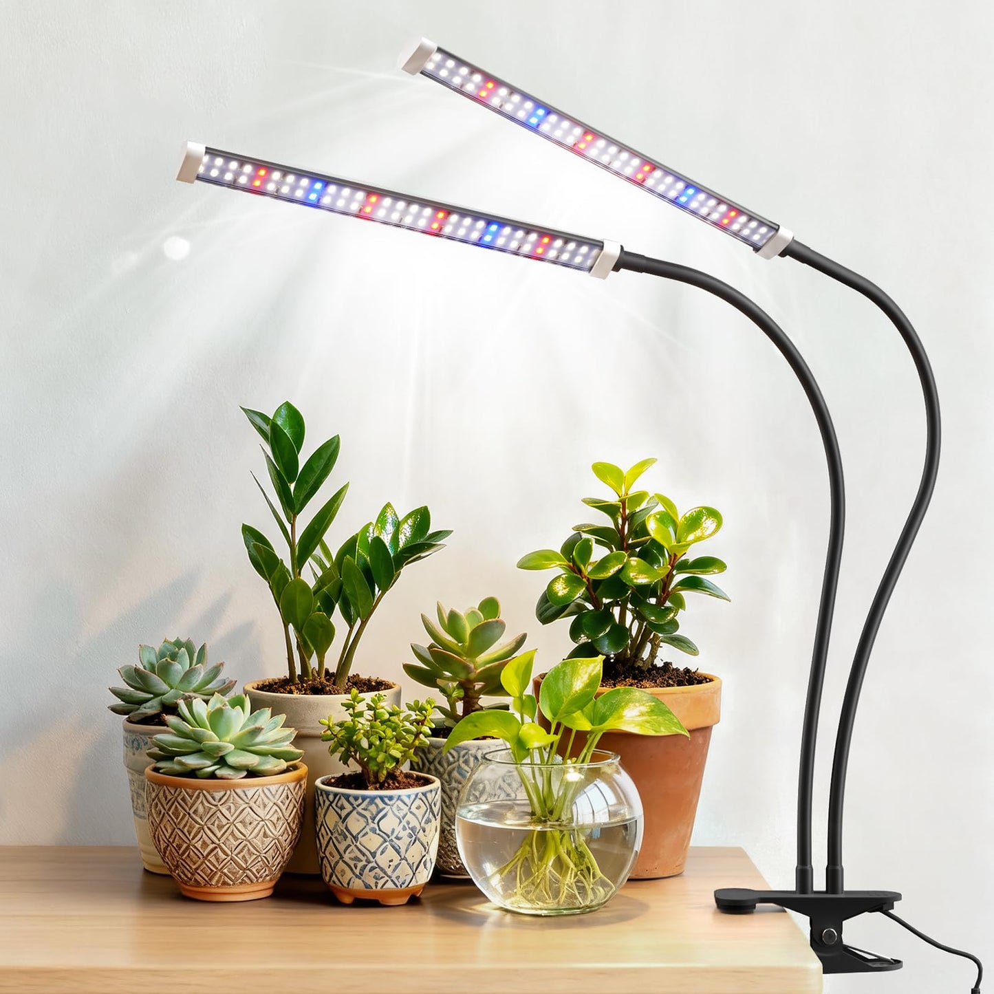Sonamindary Grow Light for Indoor Plants, 120 LEDs Full Spectrum 5700K Plant Lamp with Red Blue White Light, 5-Level Dimmable, 4/8/12H Timer, Adjustable Clamp Stand(Dual Head)