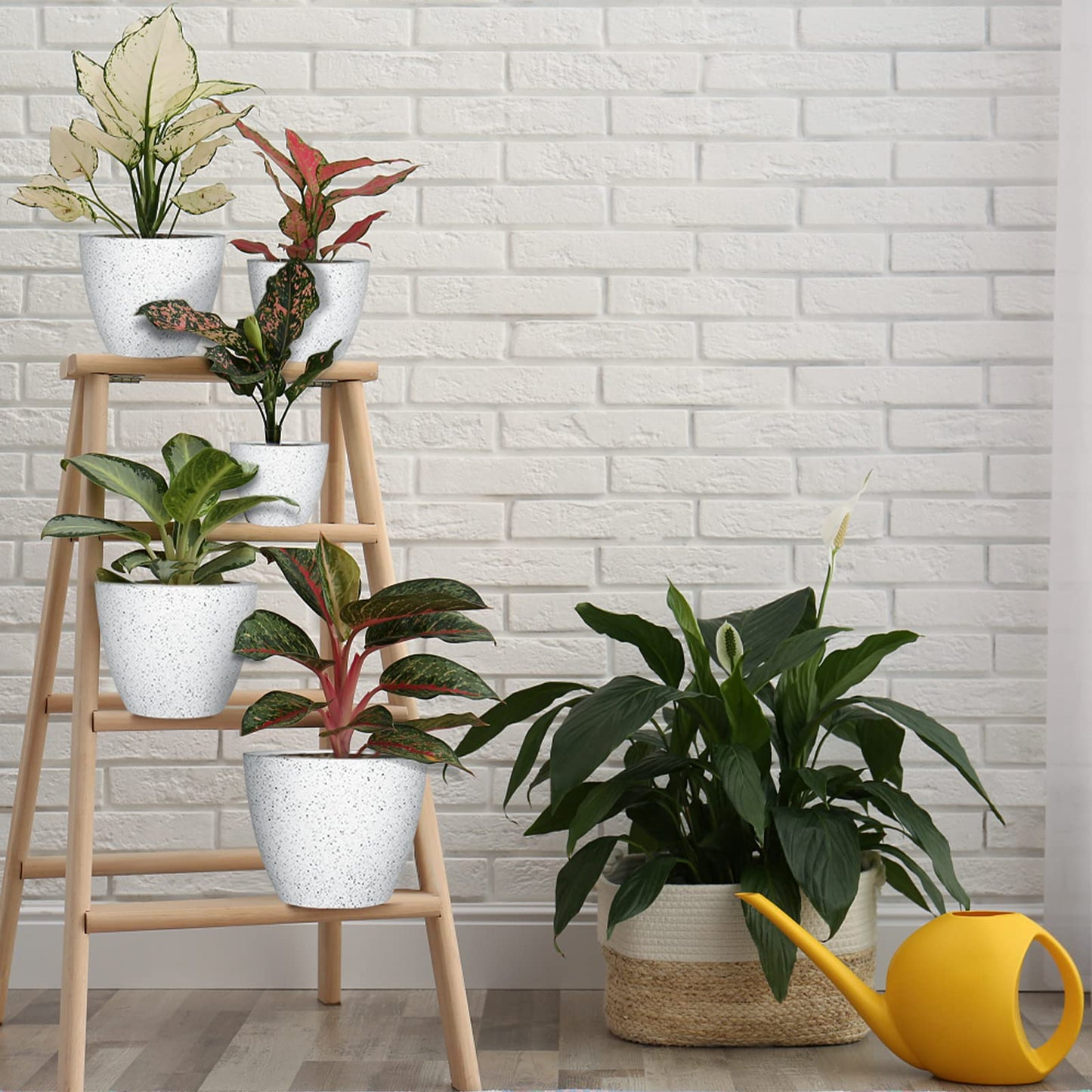 lokeisna 5 Pcs Plant pots, 7.5/6.5/5.7/4.9/4.1 inch Pots for Plants, Flower Pot Indoor Modern Decorative Plant Pot, Plant Pots Indoor with Drainage and Saucer for All House Plants, Spray Spots