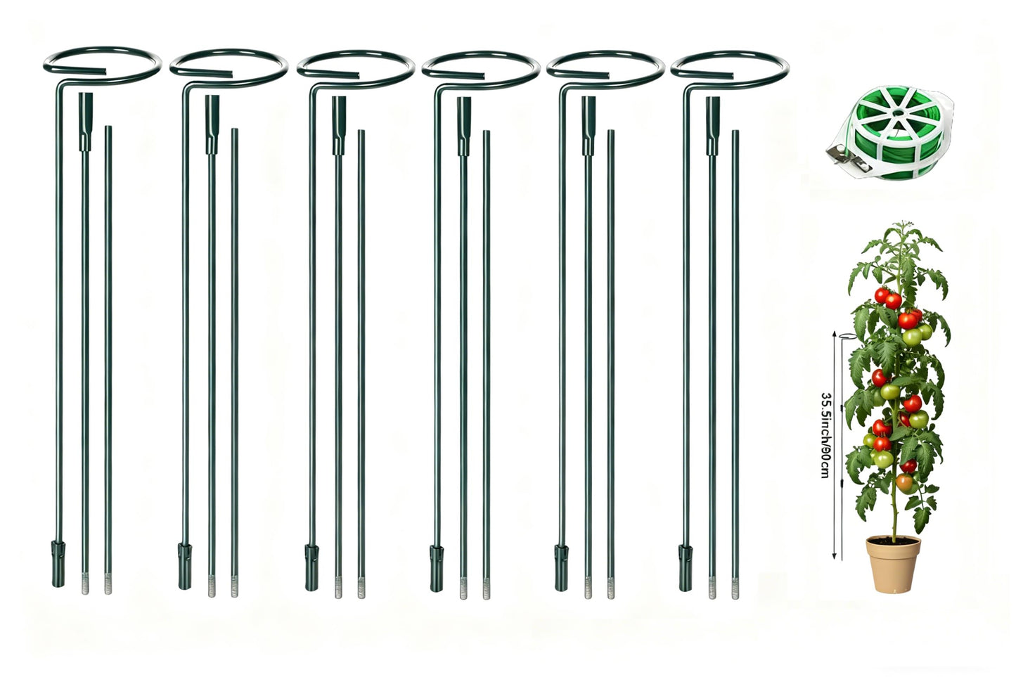 6 Sets Durable Metal Plant Stakes - 12/25/36 Inch Steel Plant Support Garden Stakes Sticks, Indoor Outdoor Plant Poles for Tomato, Orchid, Lily, Peony, Amaryllis, Flowers & Vegetables