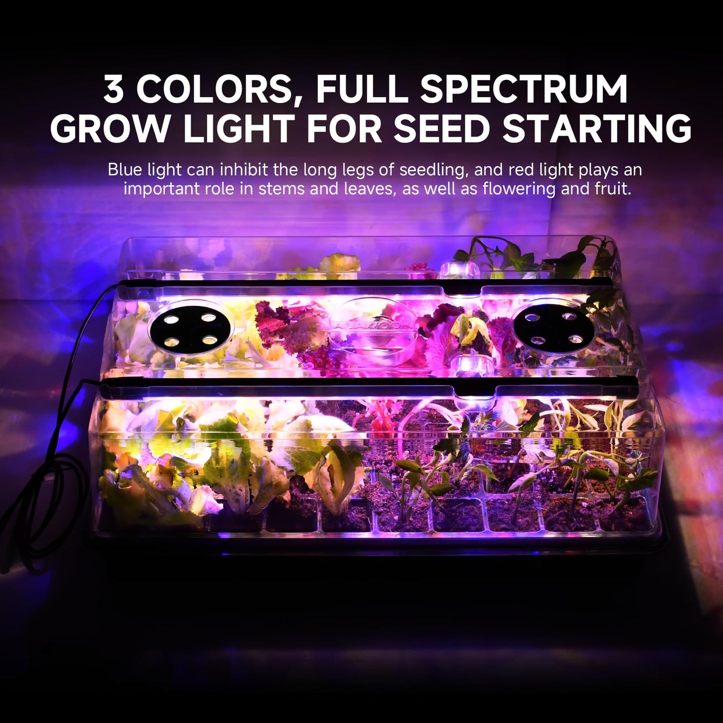Adawook Seed Starter Trays with Grow Lights, Color Change Grow Lights for Seed Starting Kit, 3 Timming Set, Indoor Plant Growing Kit for Gardeners, Germination Trays Kits, Gardening Gifts (60 Cells)