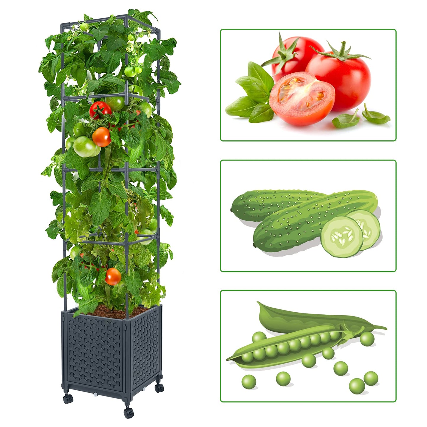 LINEX Raised Garden Bed Planter Box with Trellis, 56.7” & 67.6" Tomato Planters for Climbing Plants Vegetable Vine Flowers Outdoor Patio, Tomatoes Cage w/Self-Watering & Wheels