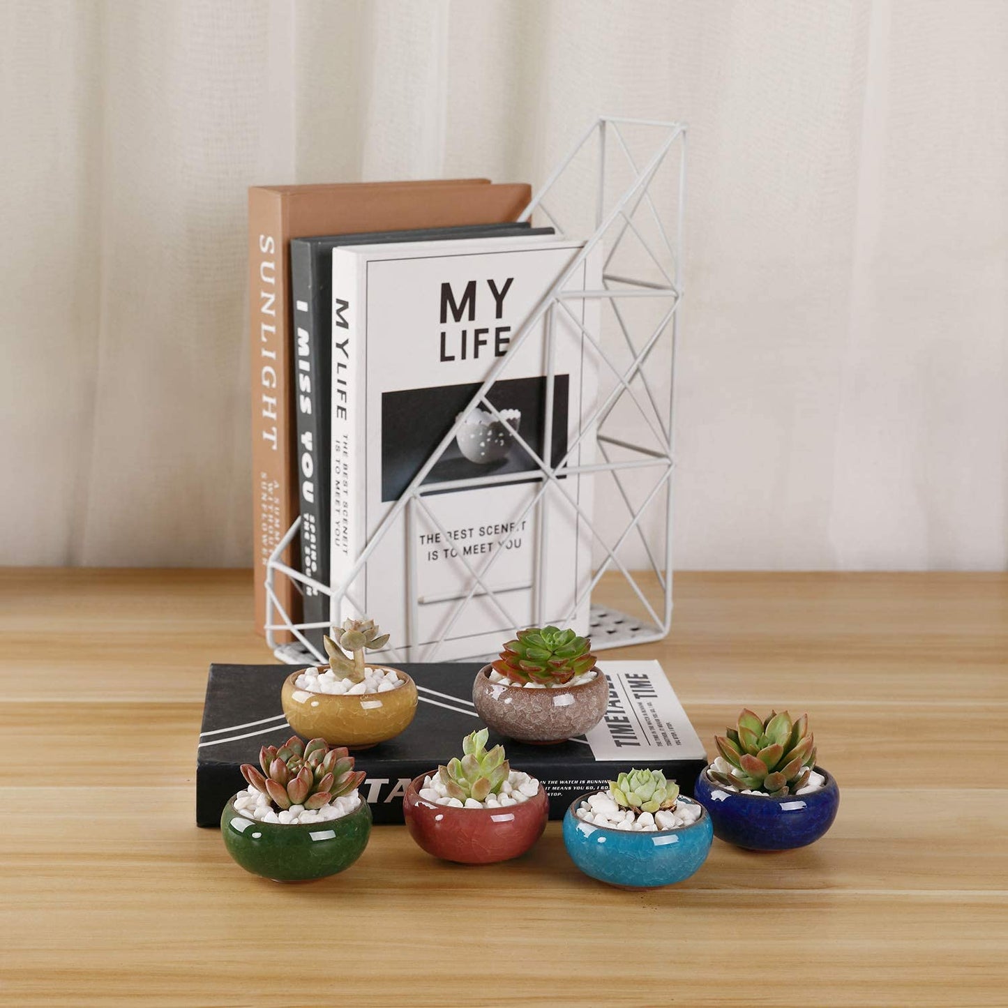 T4U Small Ceramic Succulent Pots with Drainage Hole Set of 12, Mini Porcelain Planters, Air Plant Flower Pots, Cactus Faux Plants Containers, Home and Office Decor Gift