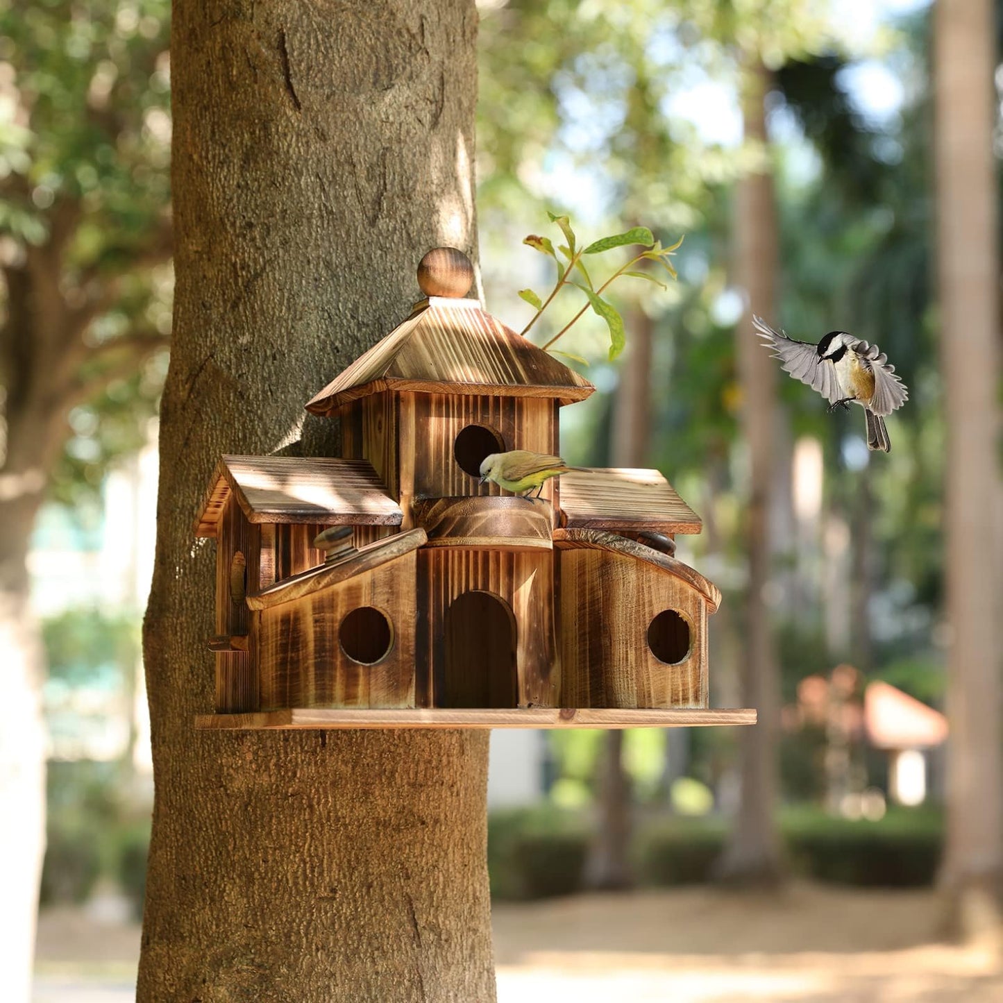 Bird Houses for Outside, Wooden 6 Hole Bird House Room for Multiple Birds, Outdoors Hanging Birdhouse Nesting Box for Garden, Bird Hotel for Wren Chickadee Sparrow