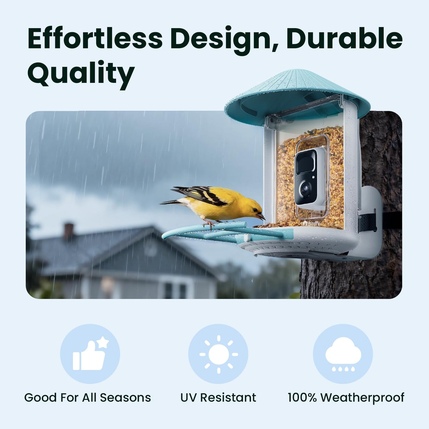 NETVUE by Birdfy Smart Bird Feeder with 2K HD AI Camera Solar Powered, Wireless Wildbird Watching, Live Stream&Color Night Vision, Auto-Capture & Notify, Free Cloud Storage(AI by Subscription)