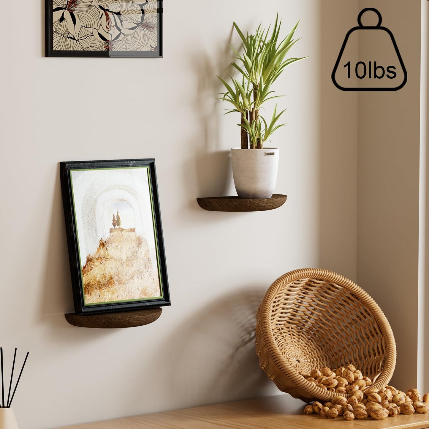 QsQueen Solid Wood Half Round Floating Wall Shelves | Elegant Floating Shelves, Elevate Your Space. Perfect for Living Rooms, Bathrooms, Bedrooms, Offices, Children's Rooms