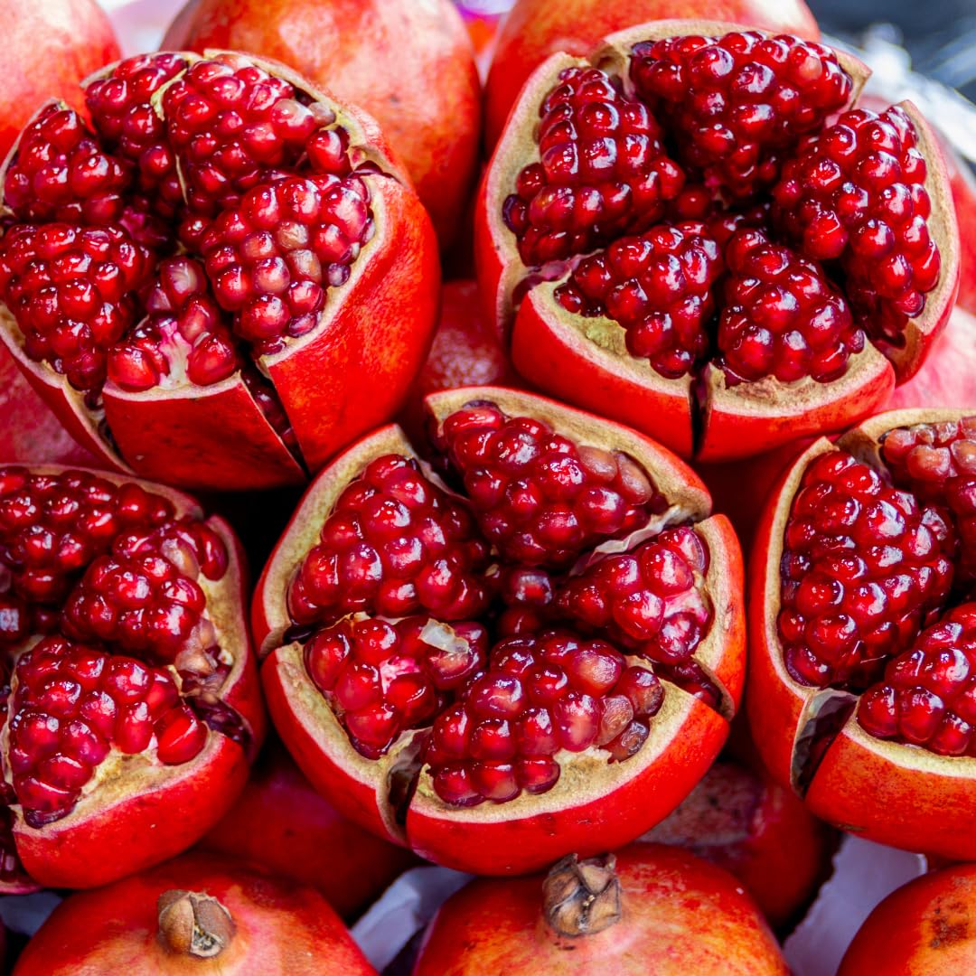 Live Pomegranate Tree, Sweet Fruit Tree, Cold Hardy, 2–3 Feet Tall in 3 Gallon Pot, Ready for Outdoor Growing, No Ship to CA