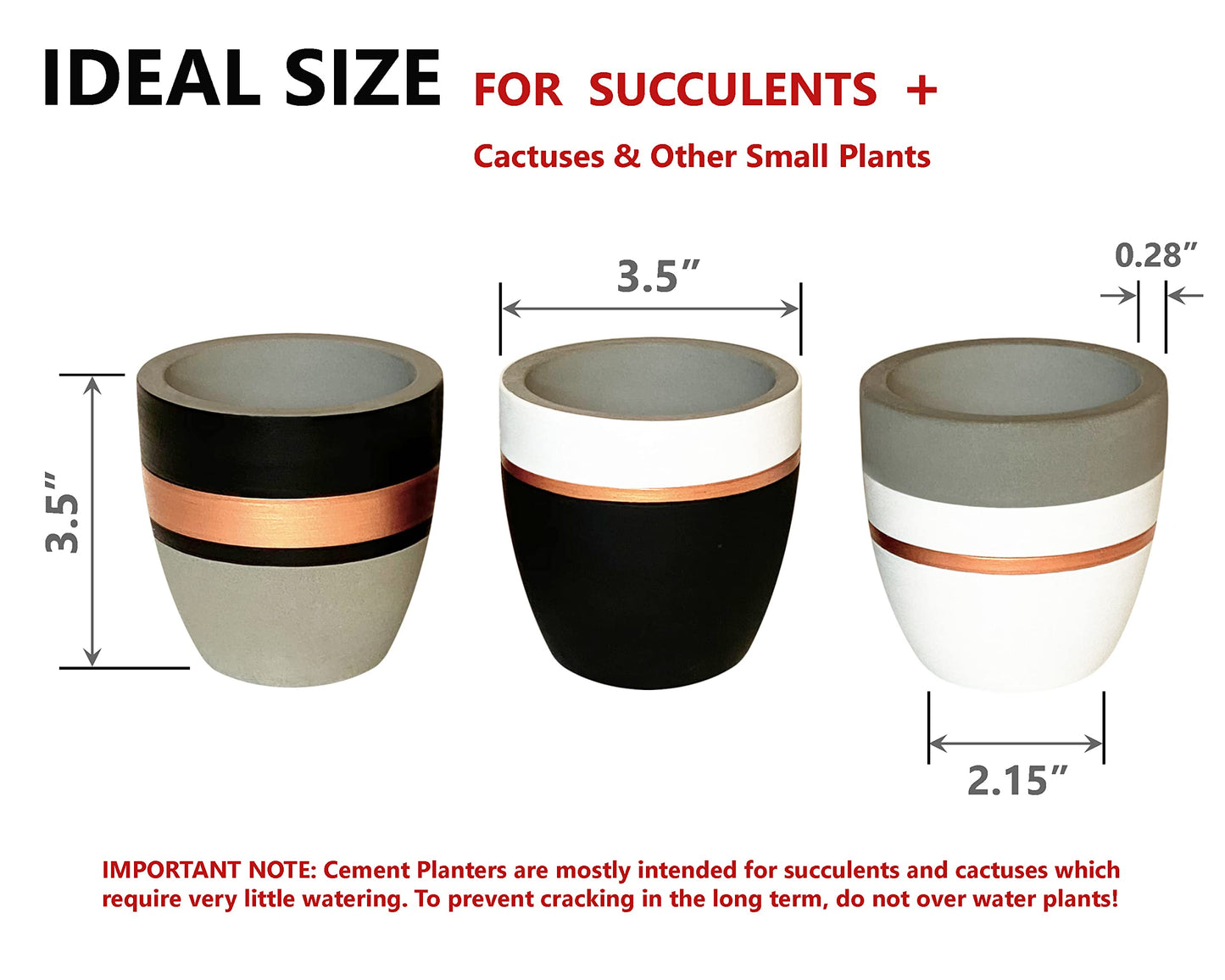 PASENITY Hand Painted Indoor Plant Pots, Set of 3 Modern Cement Succulent Pots with Drainage, Best Planters for Cactus, Herbs, Great Office & Home Gift Idea (Plants NOT Included), 3.5 Inch