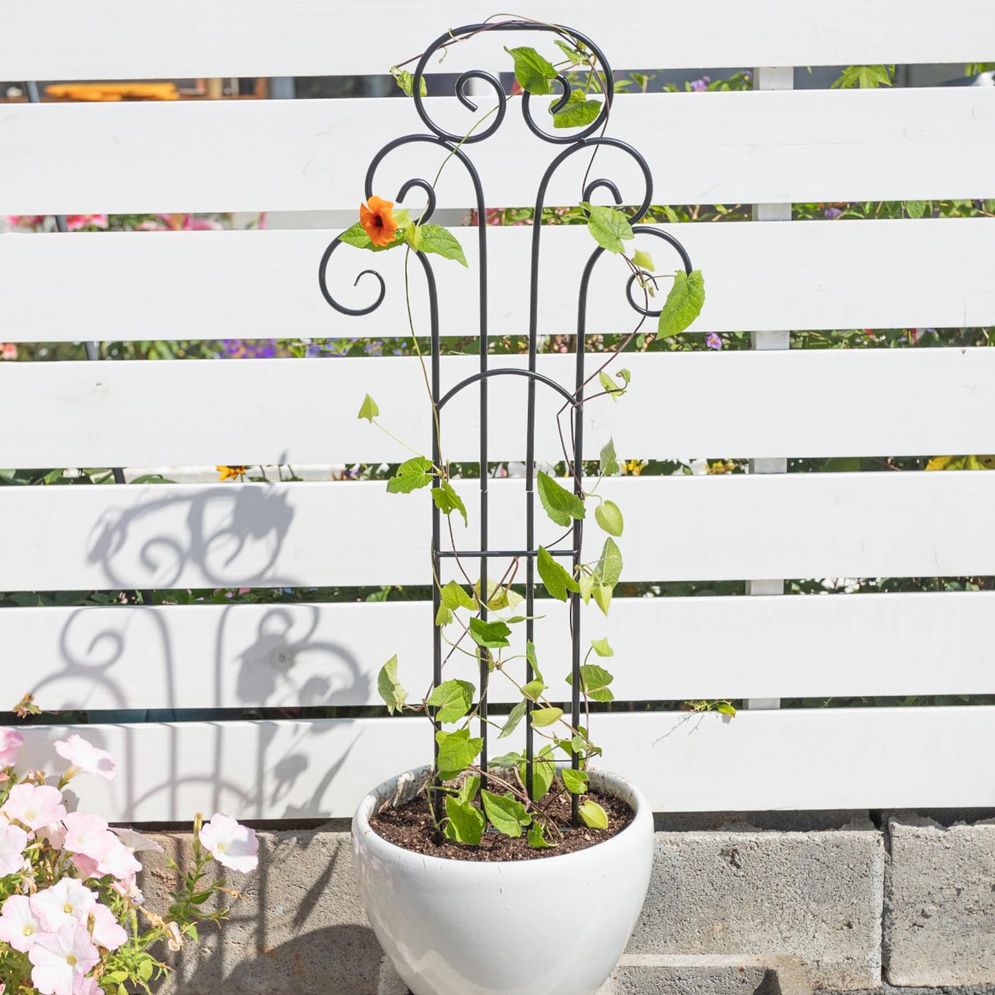 GOOOXIM 31 Inch Trellis for Potted Plants - Iron Plant Support for Climbing Vines and Houseplants, Ideal Garden Stake for Monstera and Medium Plants, Perfect for Indoor and Outdoor Use