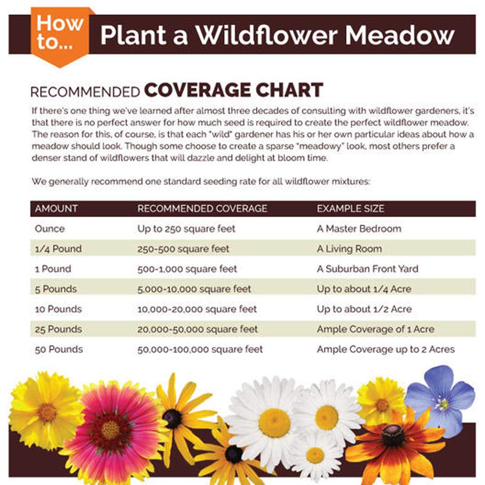 UtopiaSeeds White Wildflower Seed Mix - Attracts Hummingbirds and Butterflies - Easy to Grow