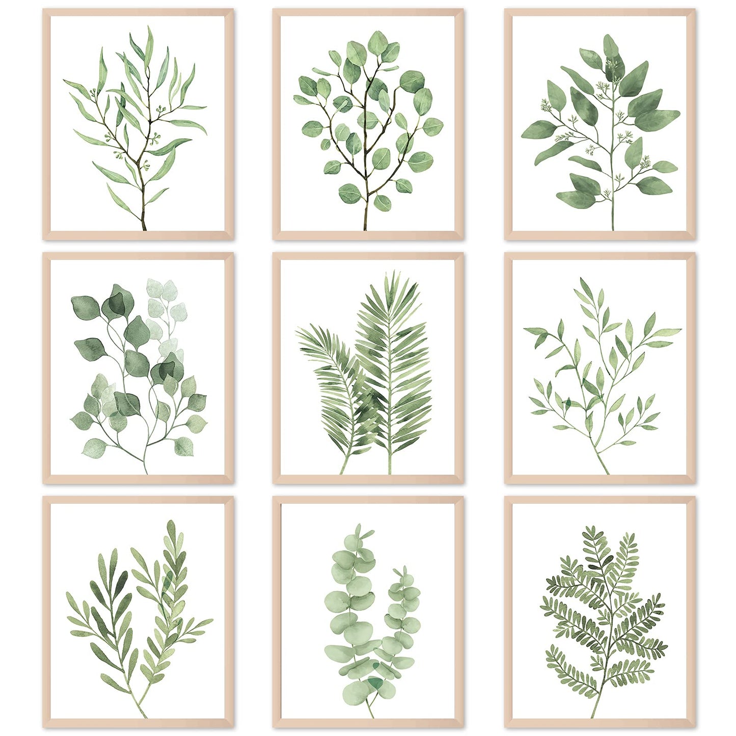 Tevxj 9PCS Botanical Plant Wall Art Prints Green Plant Wall Decor Boho Herb Wall Decor Pictures Minimalist Wall Art Photo Prints for Living Room Kitchen Leaves (8"x10", Unframed)