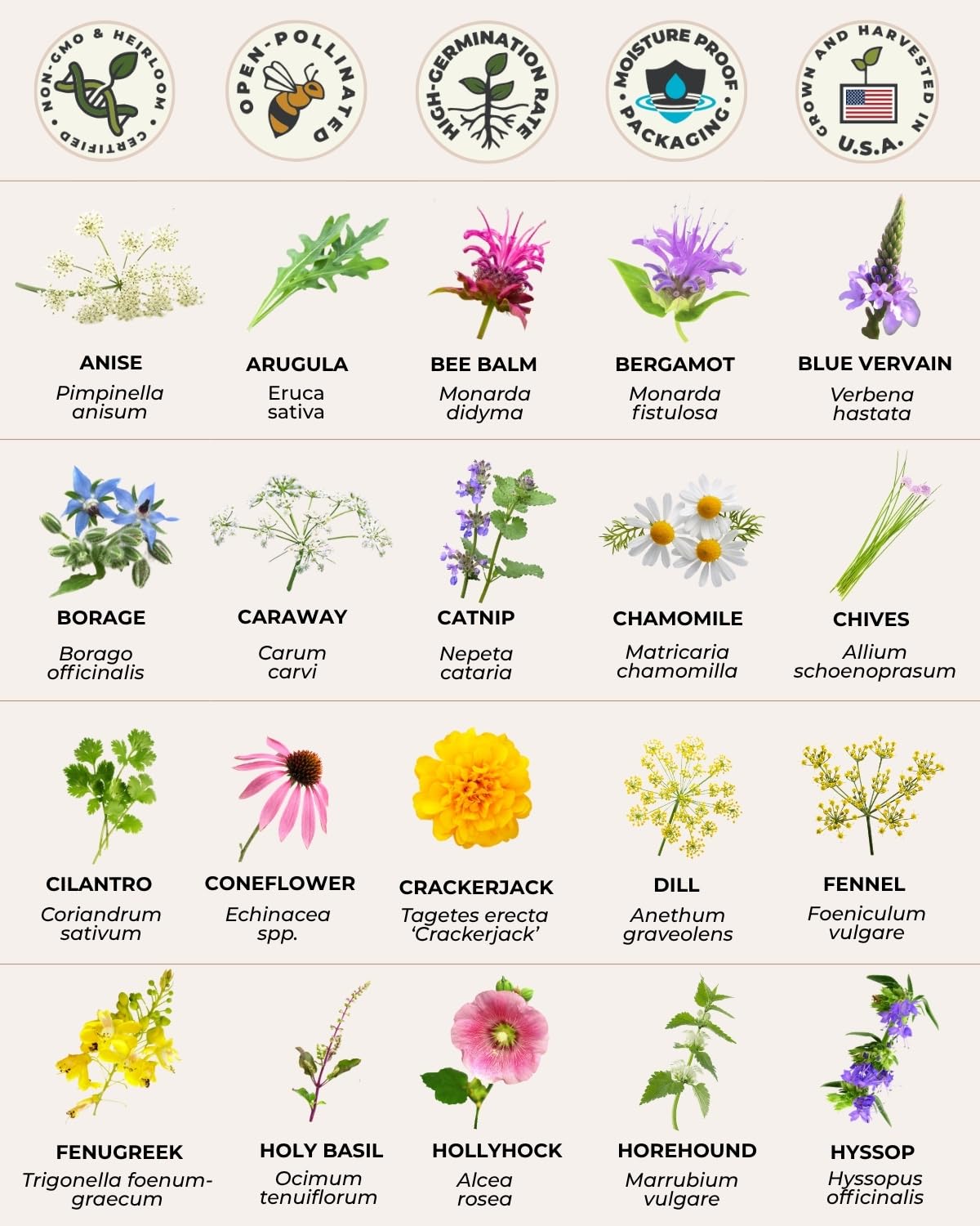 Tactiko Survival 40 Medicinal & Tea Herb Seeds Variety Pack, Indoor & Outdoor Herbal Garden Kit, USA Grown Heirloom Non-GMO, Herbal Seeds for Teas, Resealable Mylar Bag for Long-Term Storage