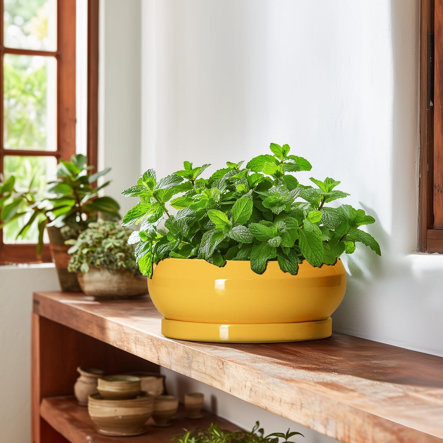 EPFamily Succulent Pots 10 Inch - Ceramic Bonsai Pots with Drainage Hole and Tray, Shallow Plant Pot Indoor Outdoor, Modern Bonsai Tree Pot, Round Planter Bowl, Home Decor, Housewarming Gift, Yellow