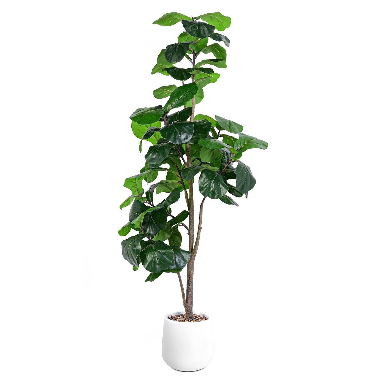 Jocoevol Artificial Fiddle Leaf Tree, 6ft Faux Plant Fake Ficus Lyrata Trees with White Planter, Artificial Fig Trees Floor Plants for House Office Living Room Indoor Home Decor, Housewarming Gift