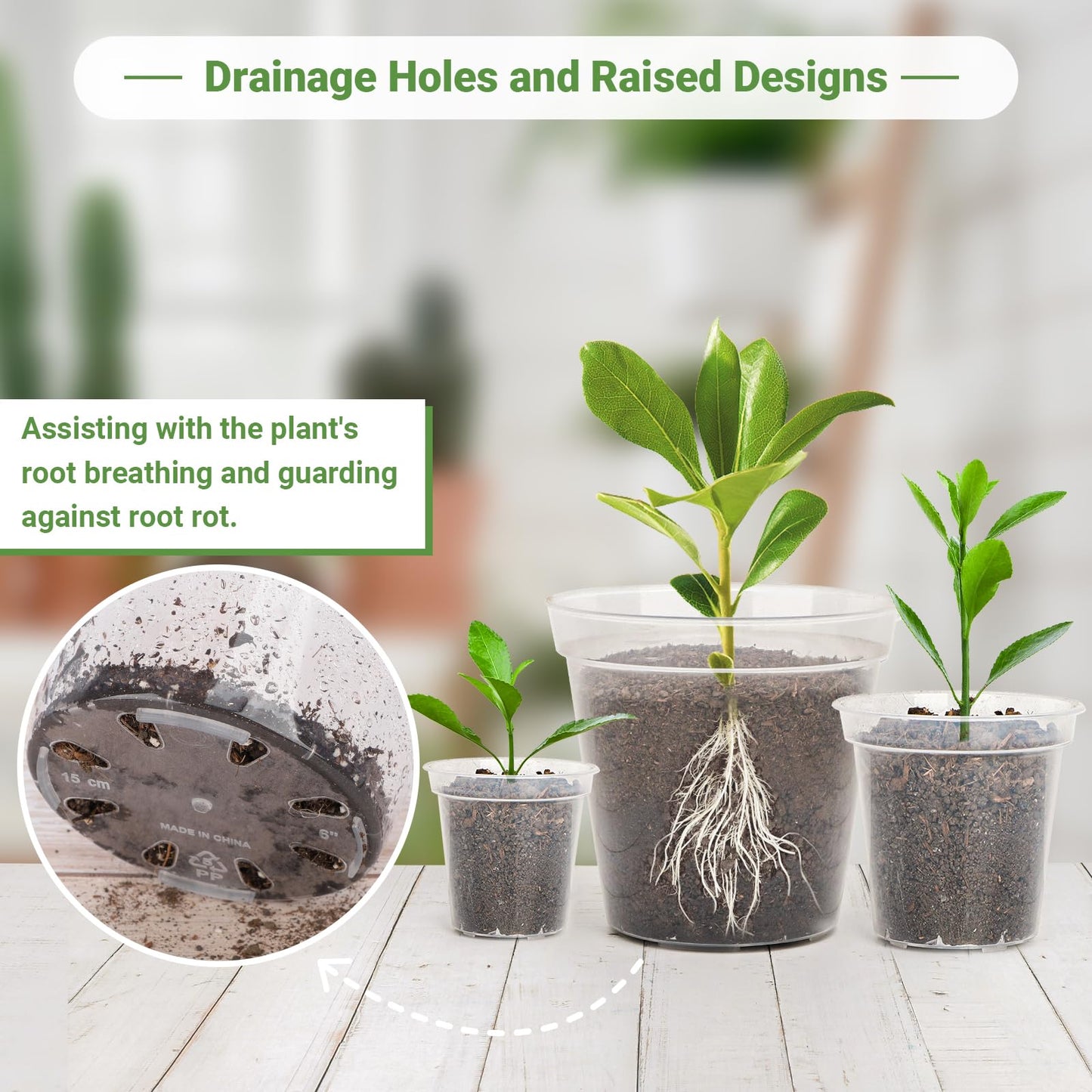 GREANER 6 Inch Wall Plant Holder, 4/5/6/7/8/9 Inch Reinforced Clear Nursery Pots, 2 Packs Heavy Duty Flower Pot Holder Ring and 13 Packs Durable Seed Starting Pot for Balcony, Home, Garden, Yard