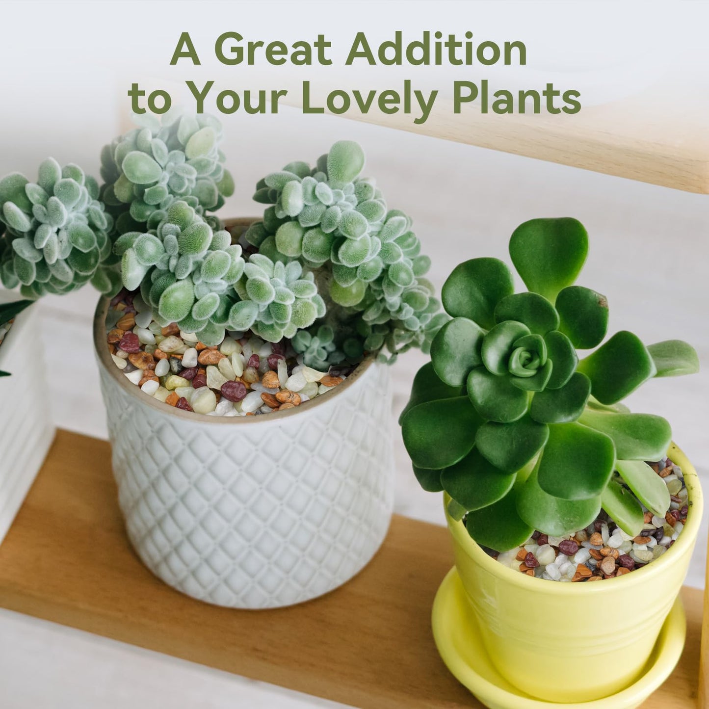 Pulovin 5 lbs Pebbles for Indoor Plants, Succulent Rocks, 3/8" Polished Pebbles for Bamboo, Vase, Terrarium, Natural Decorative Small River Rocks for Crafts, Cactus, Outdoor Garden Landscaping