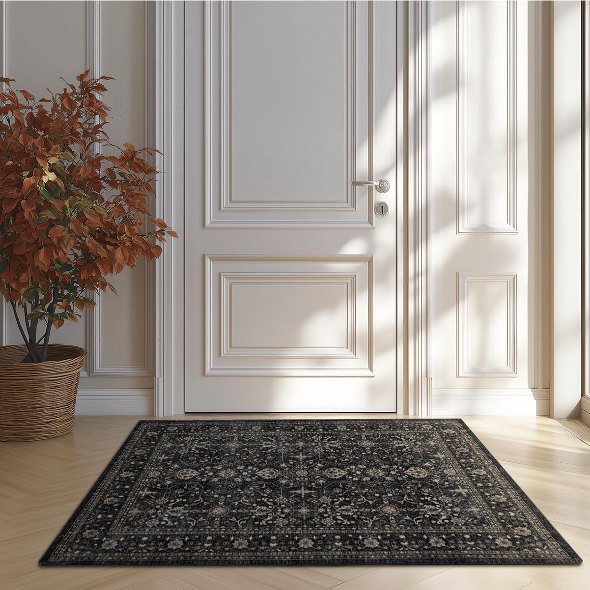 Ruaruarug Area Rug Non Slip Machine Washable Ultra Soft Living Room/Bedroom/Kitchen/Outdoor/Classroom Black Grey, 2'×3'