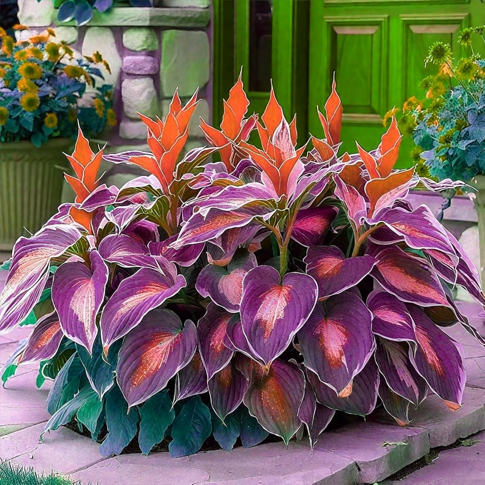 FERIWOY Elephant Ear Bulb for Dense Green Foliage Look in Patio Spaces