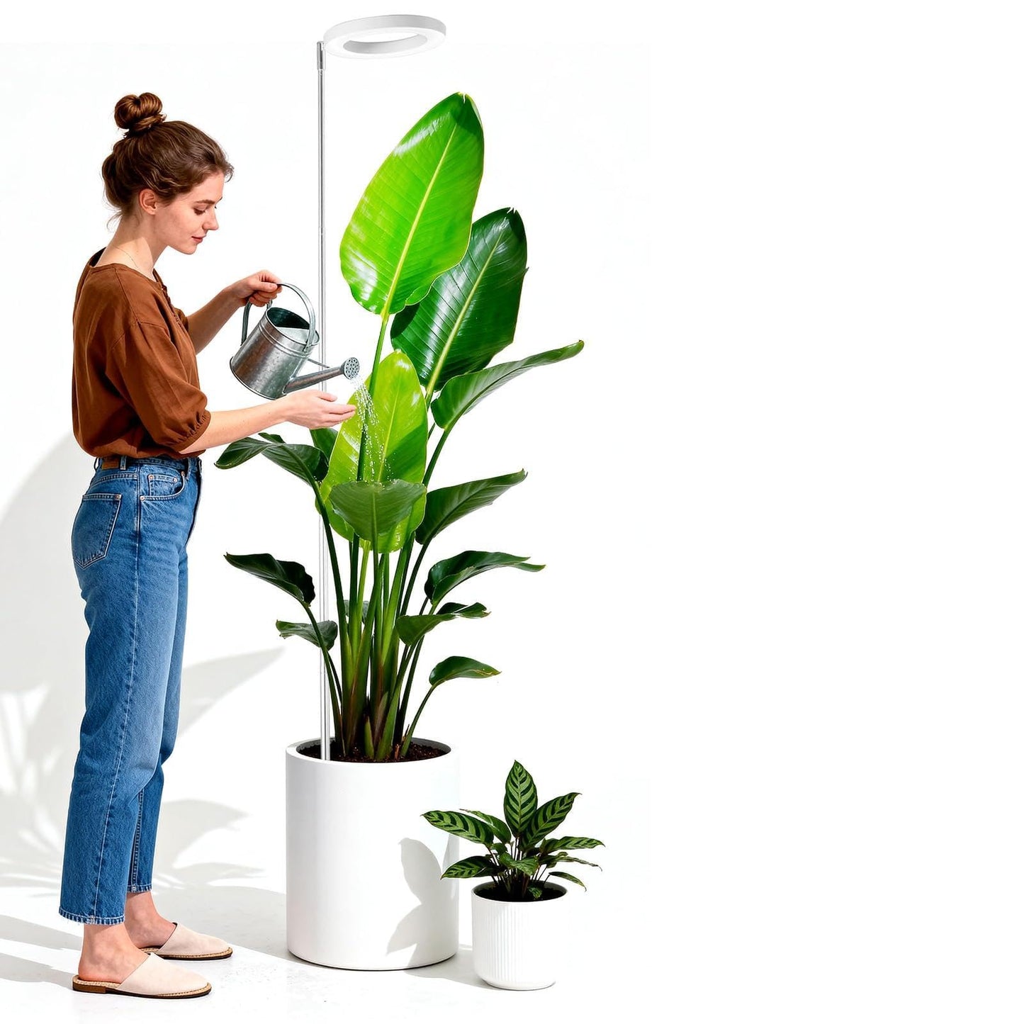 PlantaPulse Grow Lights for Indoor Plants, 72 LED 6500K Full Spectrum, 59in Tall Plant Light, 3 Color Grow Lamp with Rotating Gooseneck, 8/12/16H Timer, 10 Brightness Levels, Height Adjustable