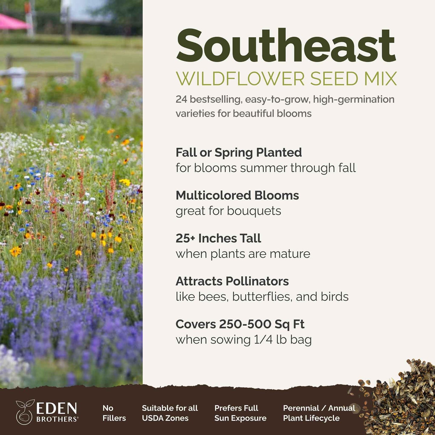 Eden Brothers Southeast Wildflower Mixed Seeds for Planting, 1/4 lb, 120,000+ Seeds with Cornflower, Blanket Flower | Attracts Pollinators, Plant in Spring or Fall, Zones 3, 4, 5, 6, 7, 8, 9, 10