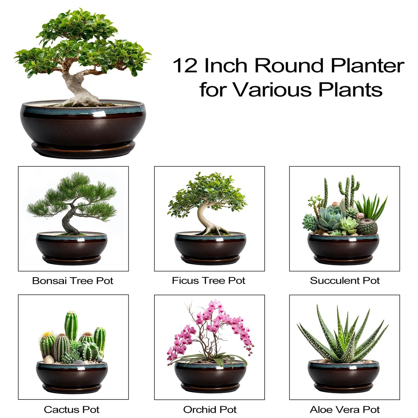 SQOWL Bonsai Planter 12 Inch - Ceramic Succulent Pots Large, Round Shallow Plant Pots Indoor with Drainage Hole and Saucer, Bowl Planter Outdoor for Flower, Room Decor, Housewarming Gifts, Blue-Brown