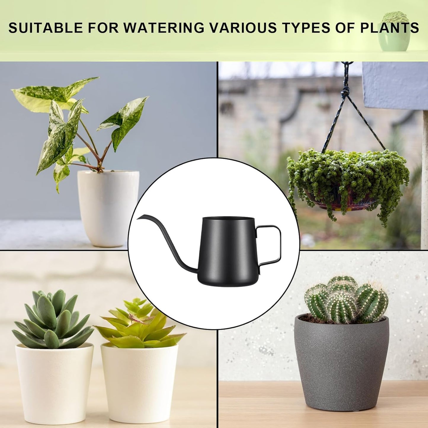 Lizhluzh 12 oz / 350 ml Watering Can Indoor Plants, Stainless Steel Plant Watering Can with Long Spout (Black) (12oz)