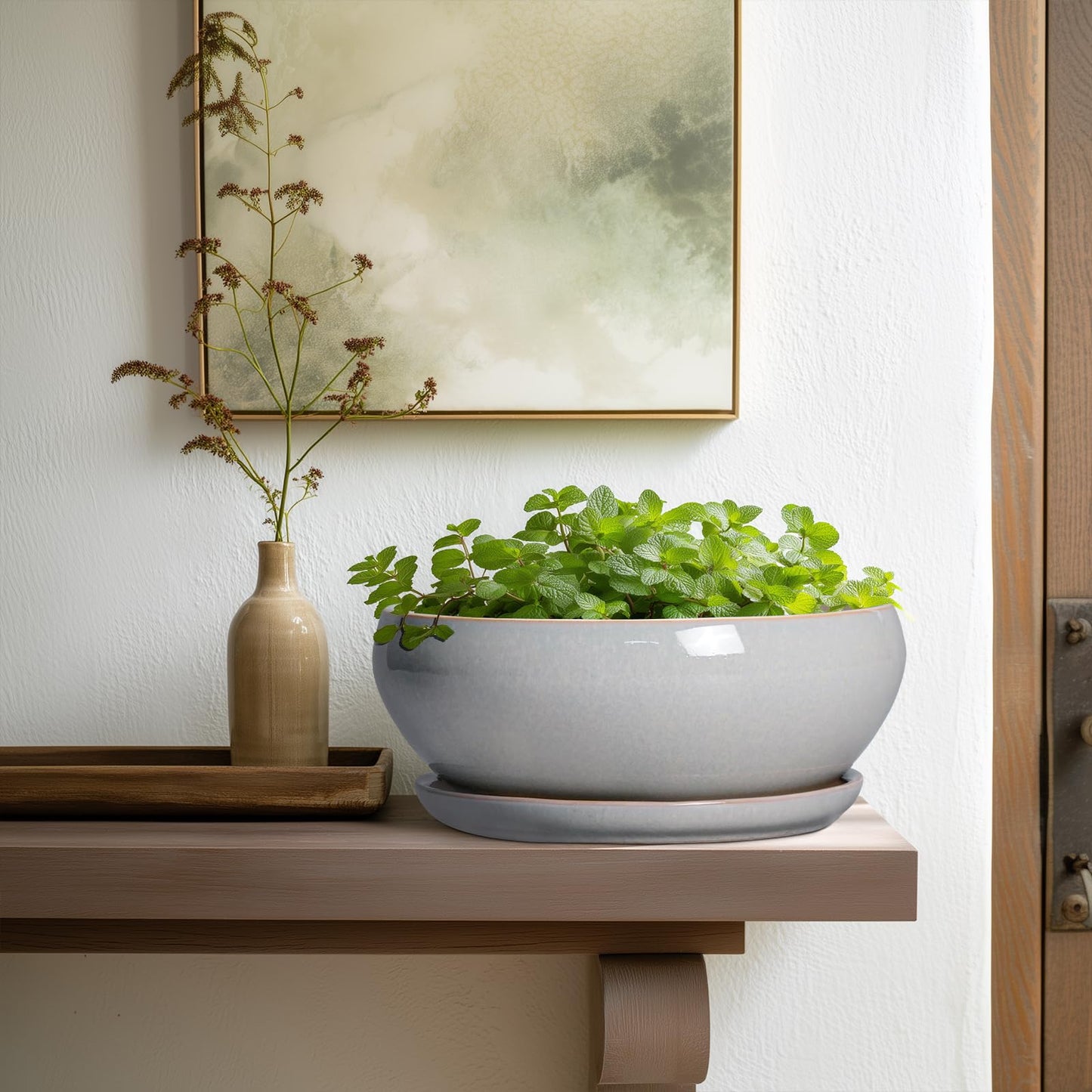 SQOWL Bonsai Pots - 10 Inch Ceramic Succulent Pots with Drainage Hole and Saucer, Large Shallow Indoor Planter, Bowl Round Planter Outdoor, Living Room Decor, Plant Lover Gifts, Gray
