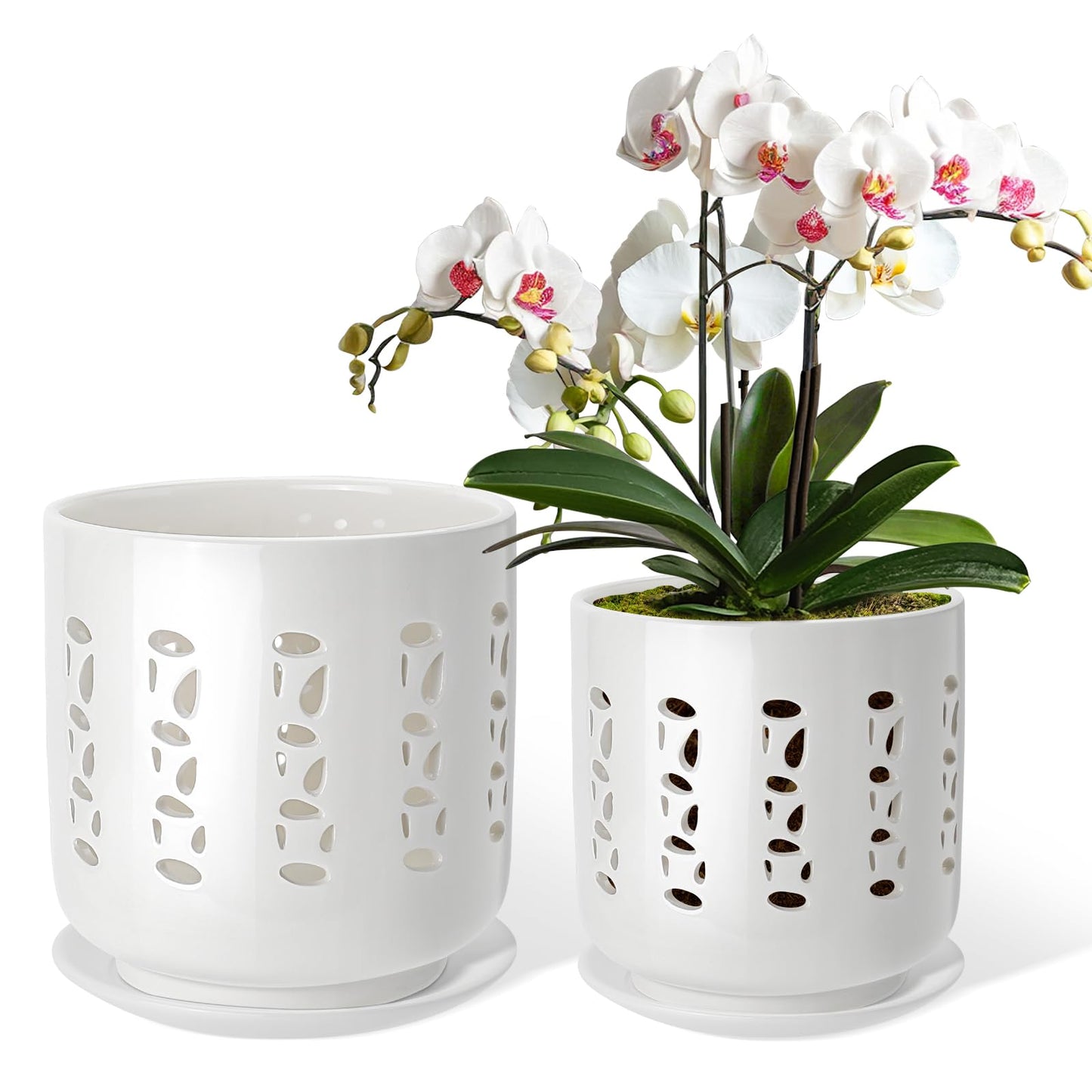 BUYMAX Ceramic Orchid Pots with Holes, 5 Inch+6 Inch Orchid Planter with Drainage Holes and Tray, Indoor Flower Pot for Repotting Orchids, Elegant White Glaze