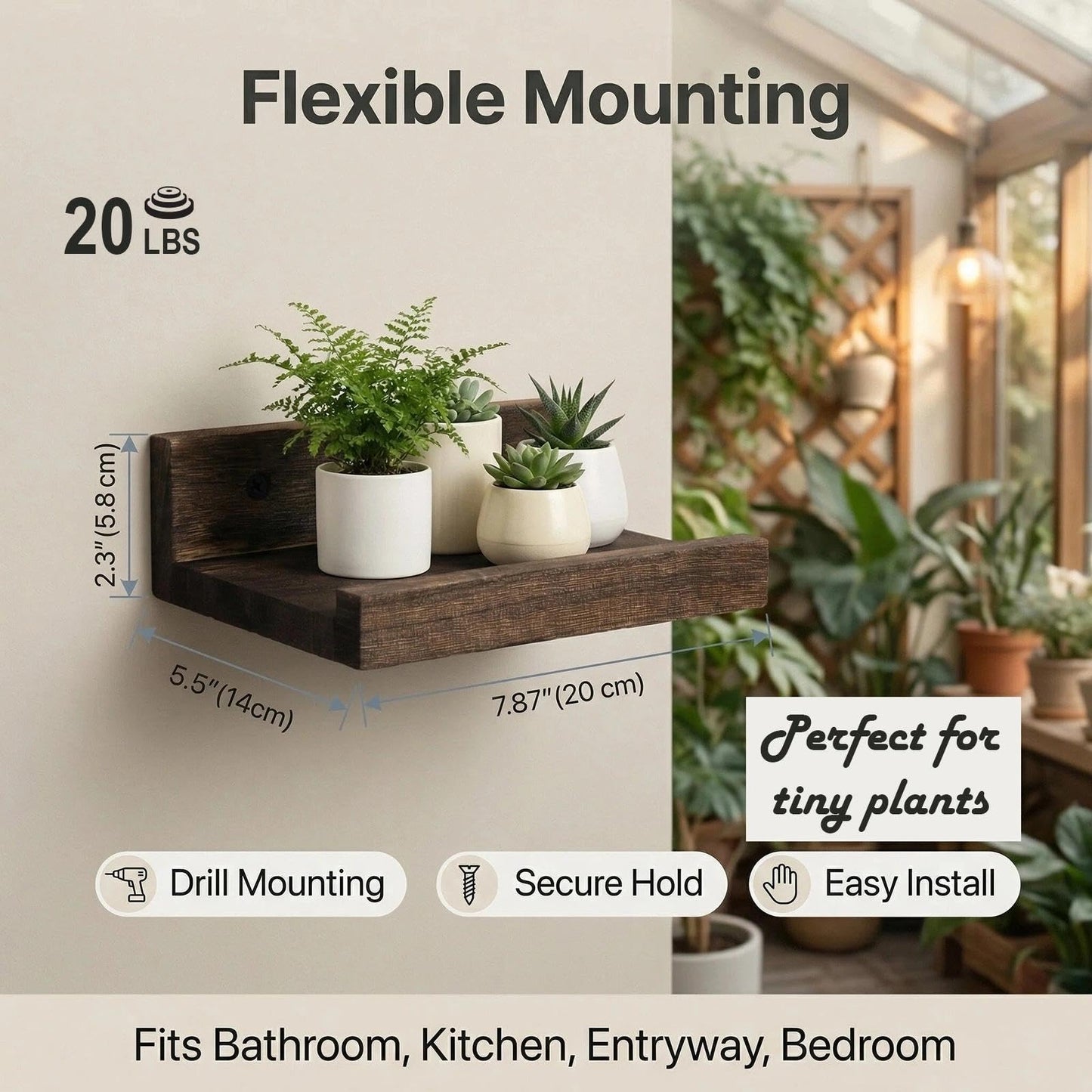 Z metnal Mini Floating Shelves, Small Natural Wooden Display Wall Shelf for Picture Ledge, Pawlownia, Wall Mounted, 8 x 5.5inch, 2 Pack