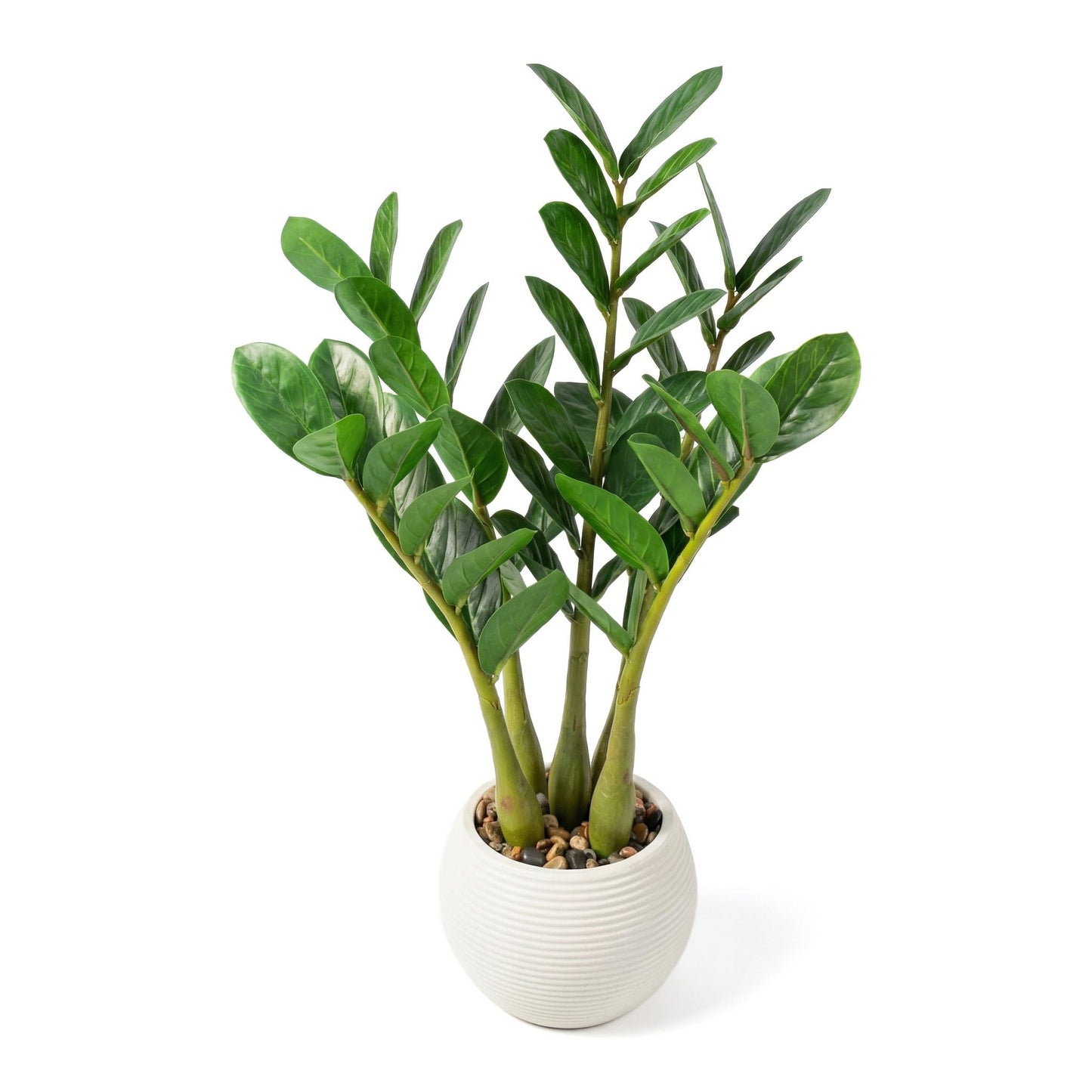 TentoWhan（2Packs Faux Plants Indoor 17" Artificial ZZ Plants in White Pot Fake Potted Zamioculcas Silk Plants for Home Table Decor Bedroom Aesthetic