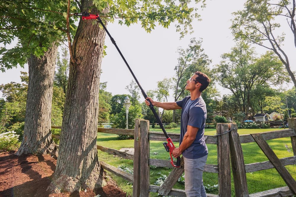 SKIL PS4563B-10 PWR CORE 20 8" 20V Pole Saw Kit, Includes with 2.0Ah Lithium Battery and Charger, Red