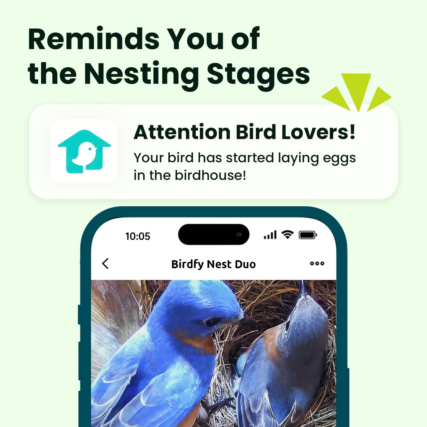 Birdfy Smart Bird House with Cameras 2025 New Version,1080P Dual-Cam, Remote Control,Solar Powered, AI Identify, Wireless Outdoor Watch Bluebird Cardinal Nesting Story in Realtime, DIY Gift (Bamboo)
