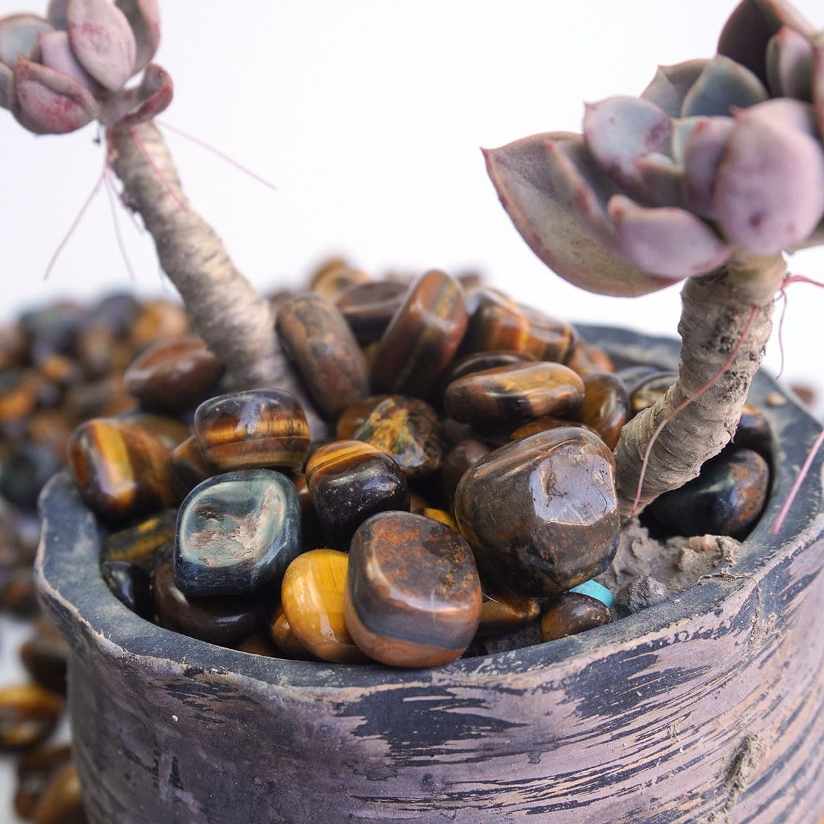 XMHOME 3 Pounds Bulk Tiger's Eye Tumbled Stones - Natural Polished Gemstones for Vase Filler, Jewelry Making, and Home Decoration