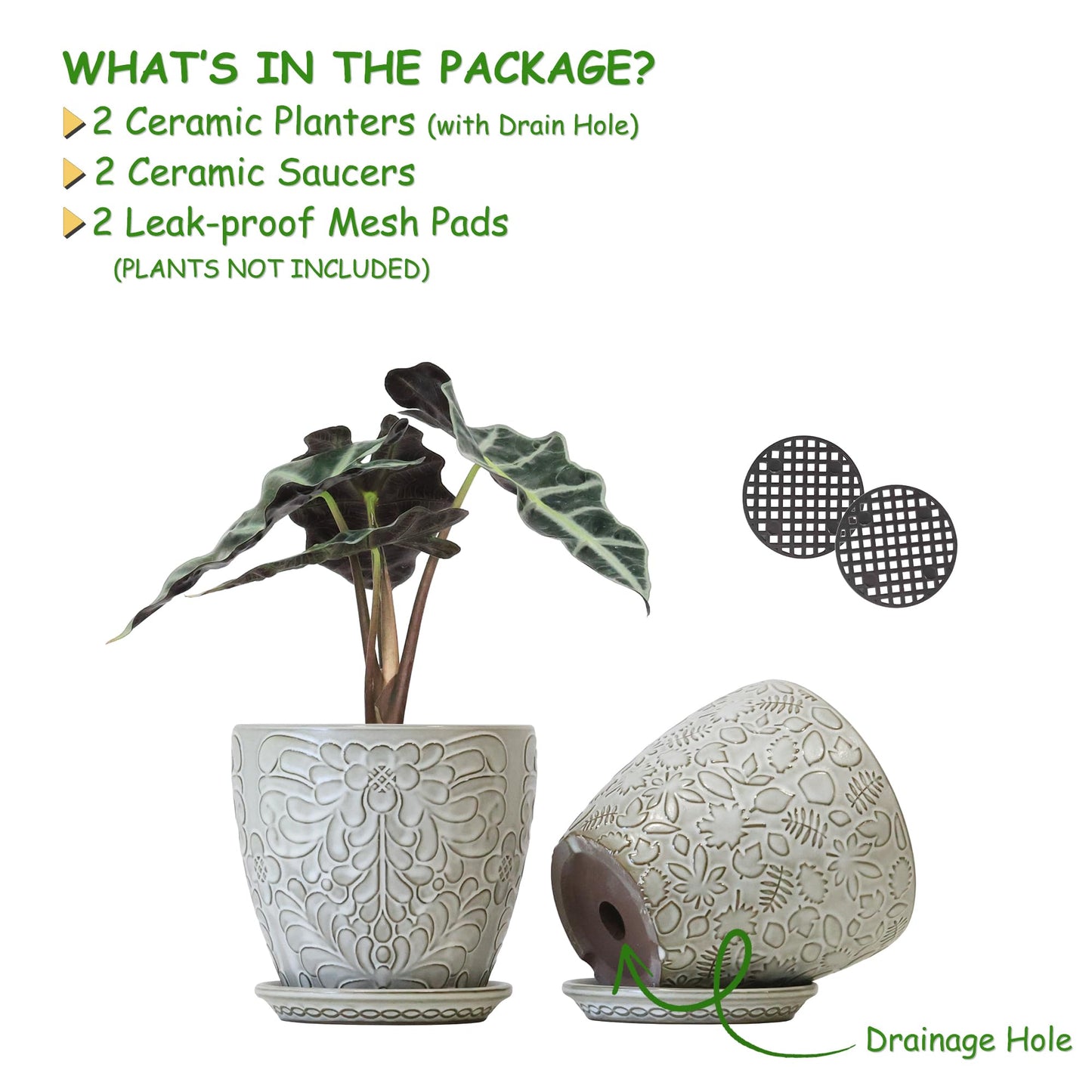 Bestseler 6 Inch Ceramic Planter Pots with Drainage Hole and Saucers for Indoor Plants, Garden Pots for Succulent, Orchid, and Flower - Set of 2