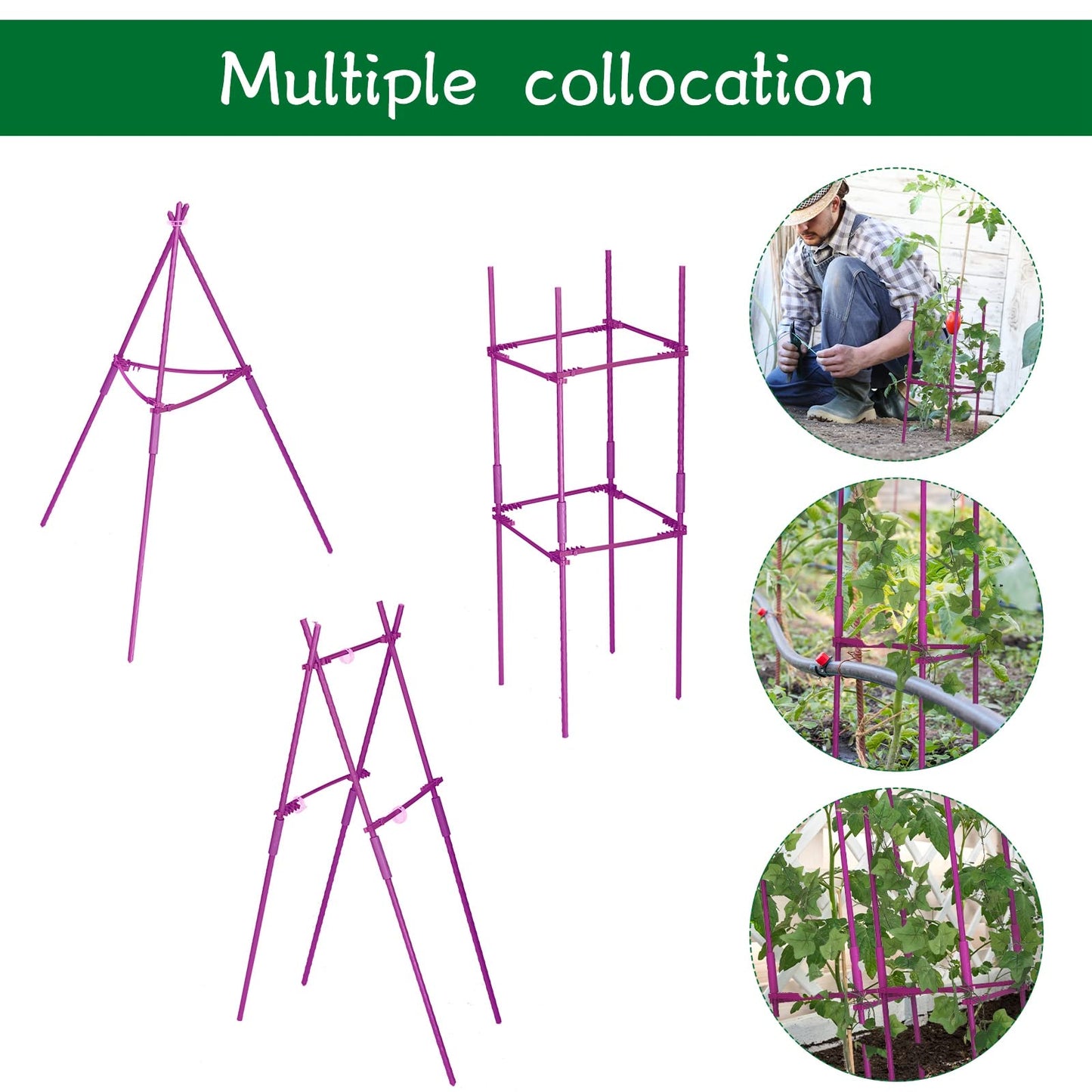 4 Packs Large Tomato Cages for Garden up to 6.5ft Heavy Duty Tomato Plant Trellis with 80 Clips Assembled Plant Support Cages with Adjustable Stake Arms for Vegetables, Climbing Plants (Purple)